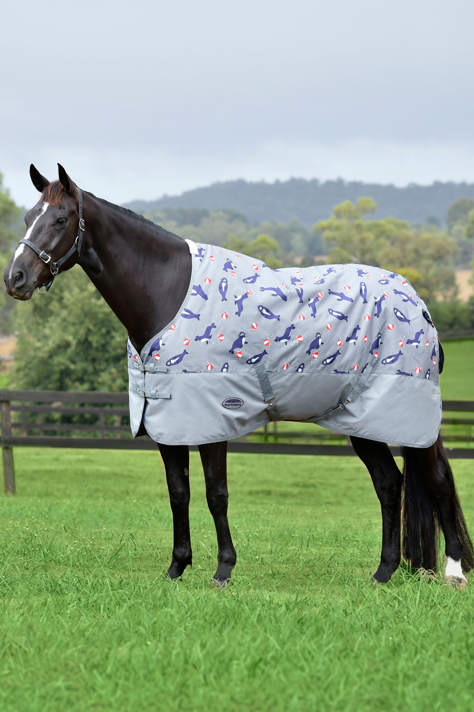 Weatherbeeta Comfitec Tyro Standard Neck Lite Plus, 50g Horse Rugs