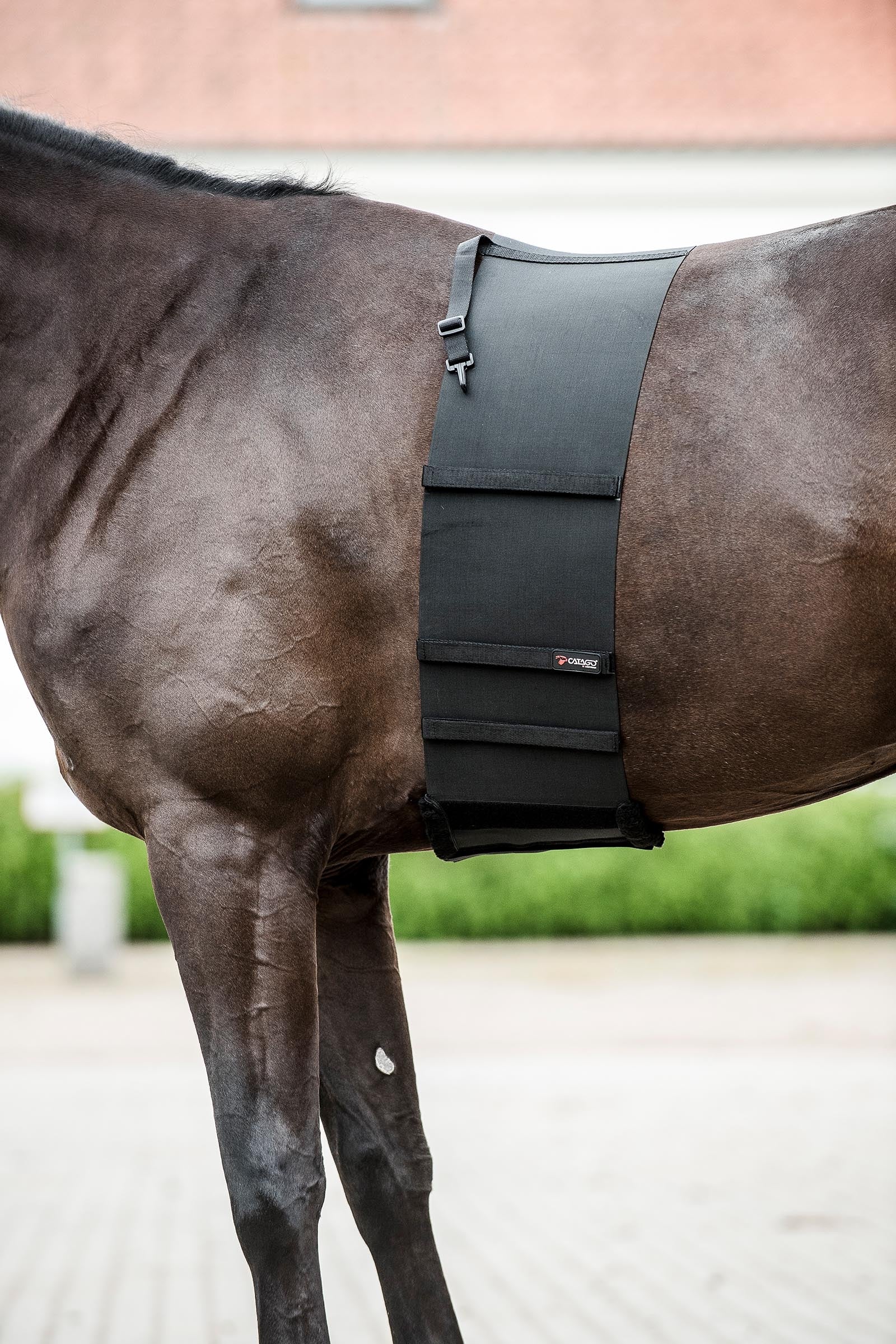 Catago CATAGO Body Shield Saddles, Girths & Stirrups