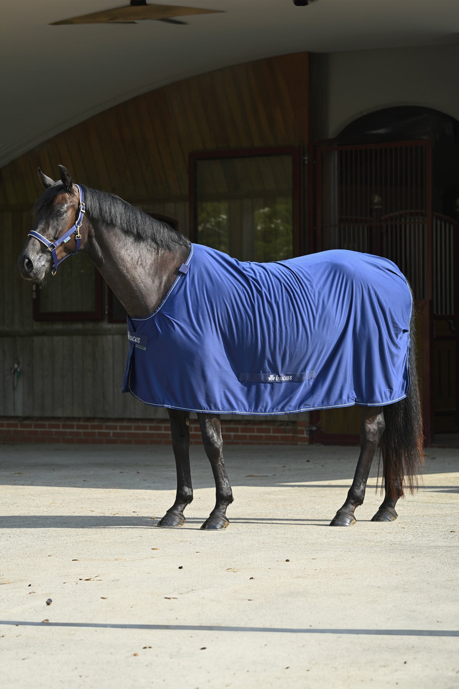 Bucas Power Cooler + Neck Set Horse Rugs