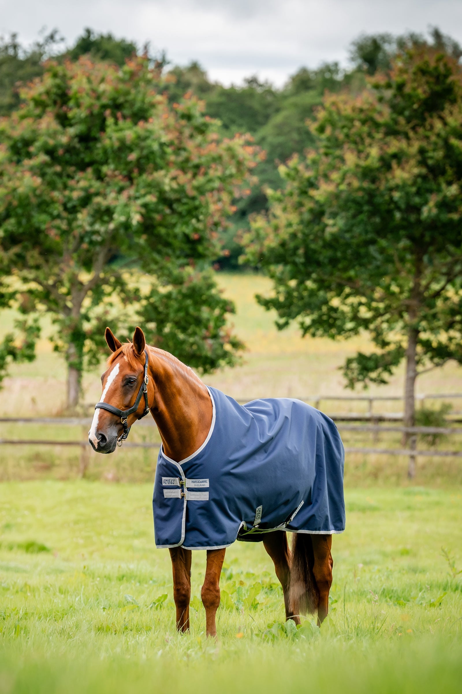 Horseware Amigo Ripstop Udedækken 900D, 0g Hestedækken