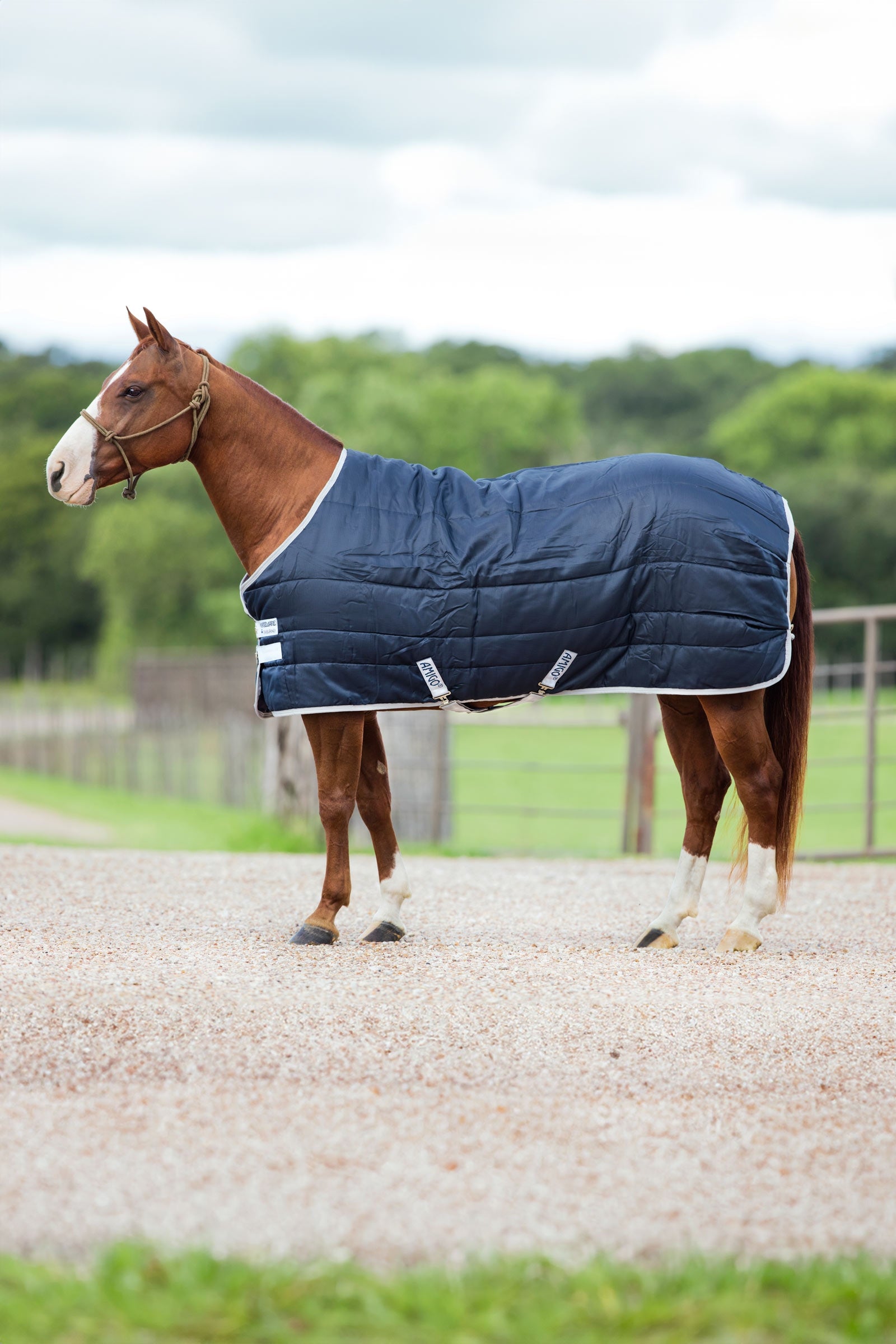 Horseware Amigo Insulator stalddækken, 200g Hestedækken
