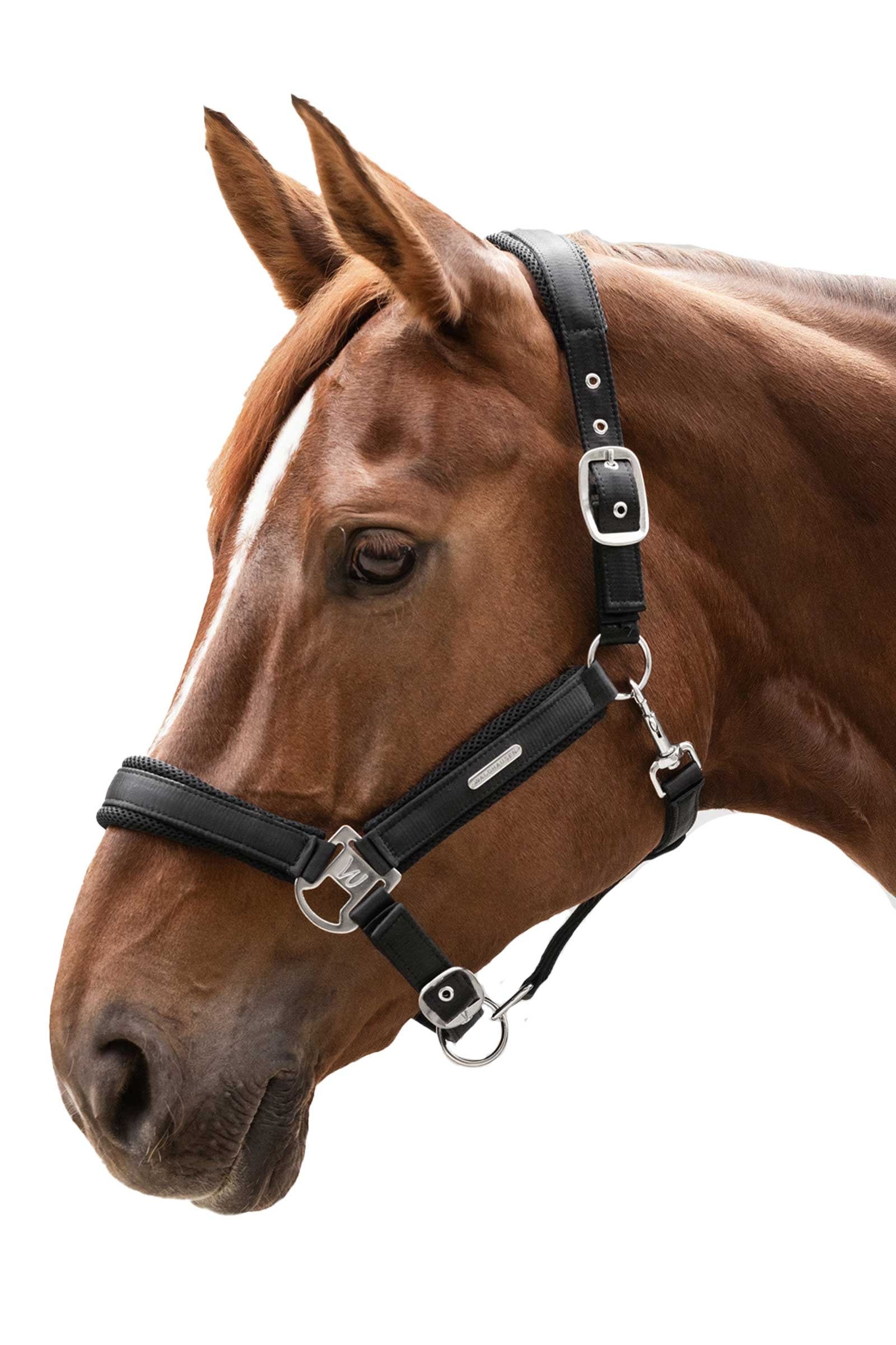 Waldhausen Breath Mesh Halter Halters & Leads
