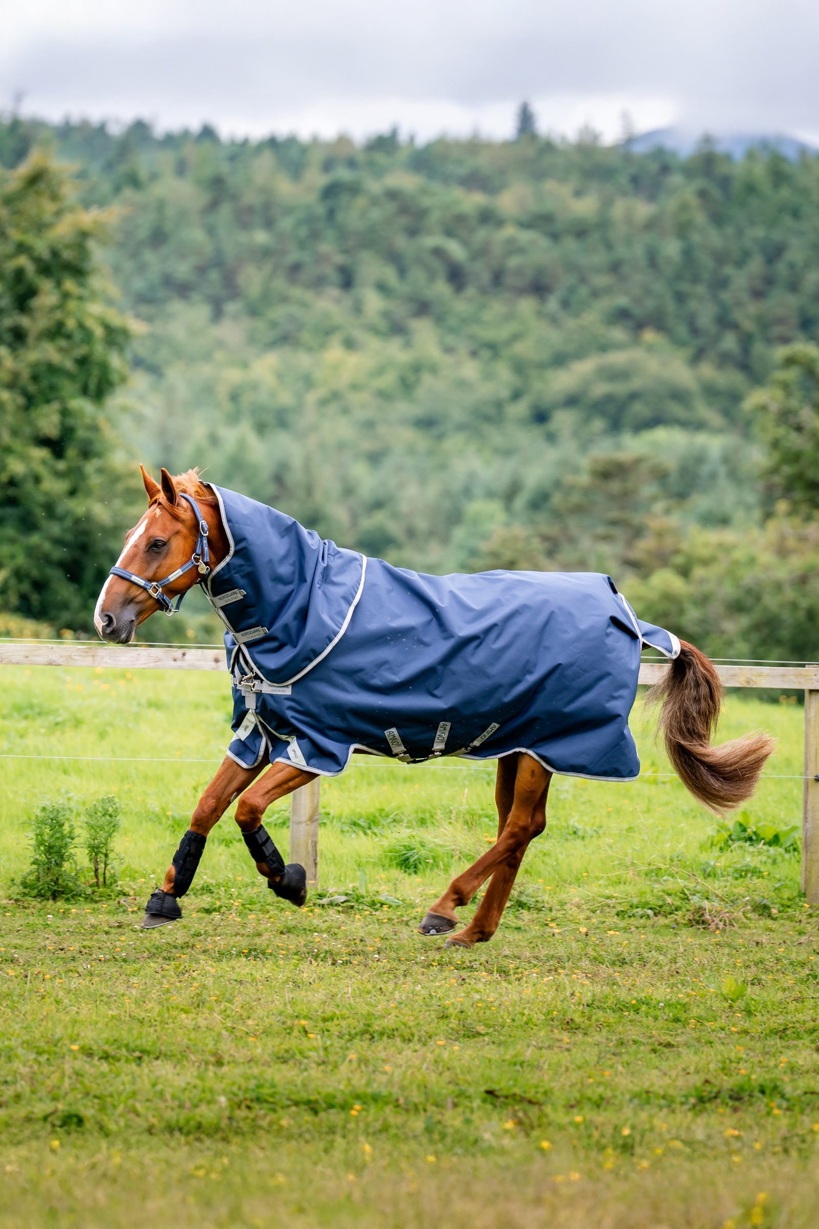 Horseware Amigo 1200D Plus turnoutdækken, 250 g Hestedækken
