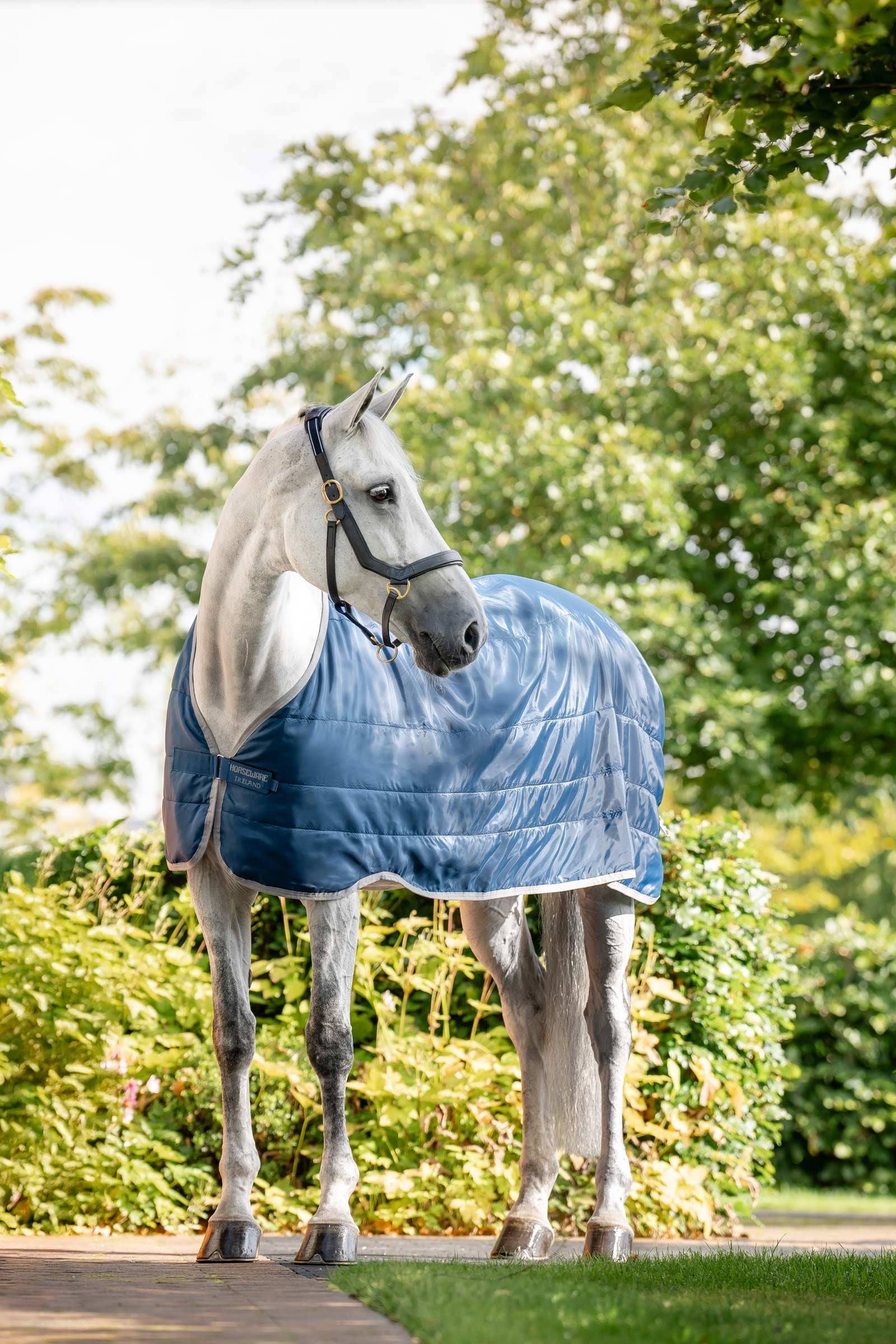 Horseware Ionic Therapy Foring 50g Hestedækken