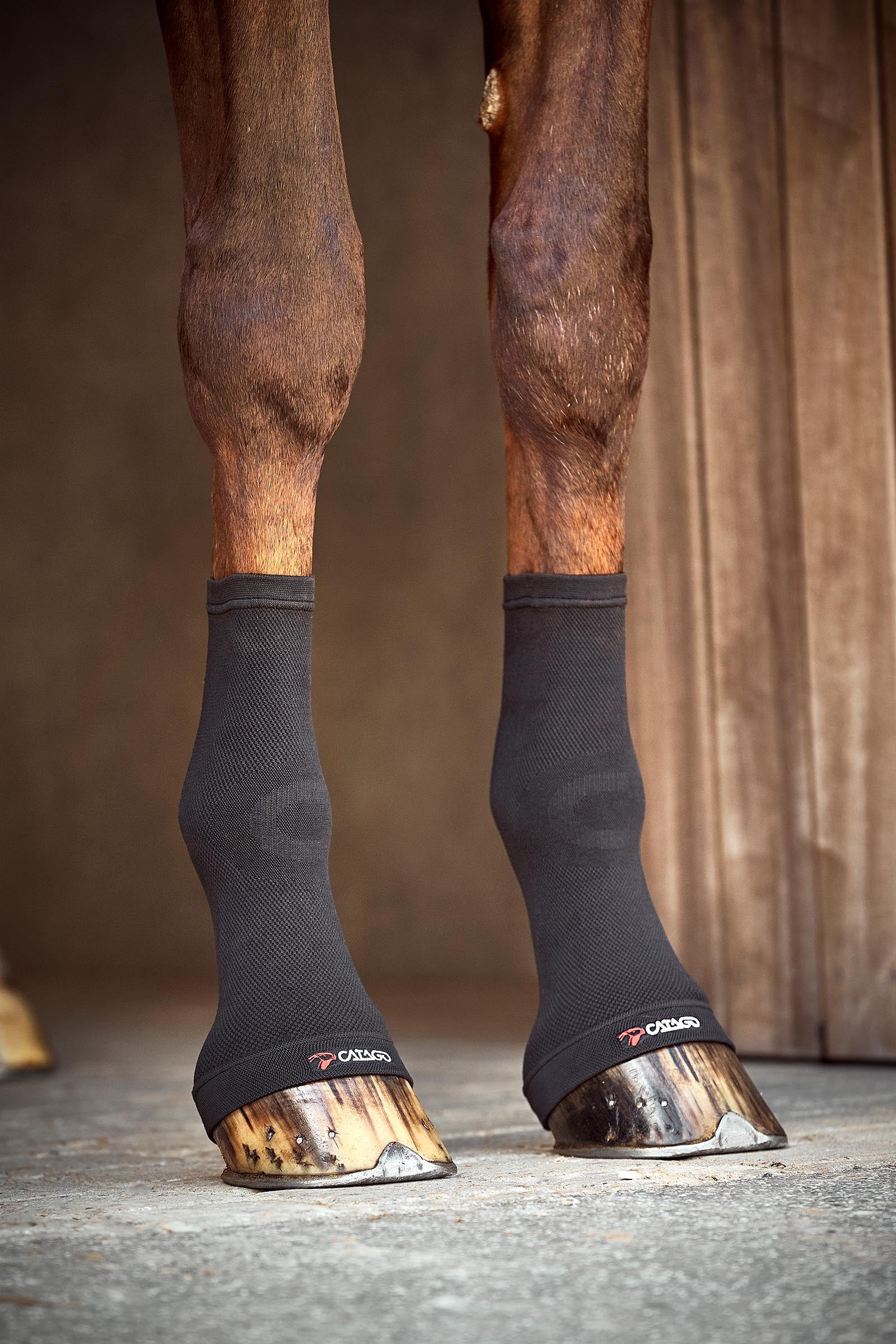 Catago FIR-Tech Kodestrømper Leg Protection & Hoof Protection for Horses