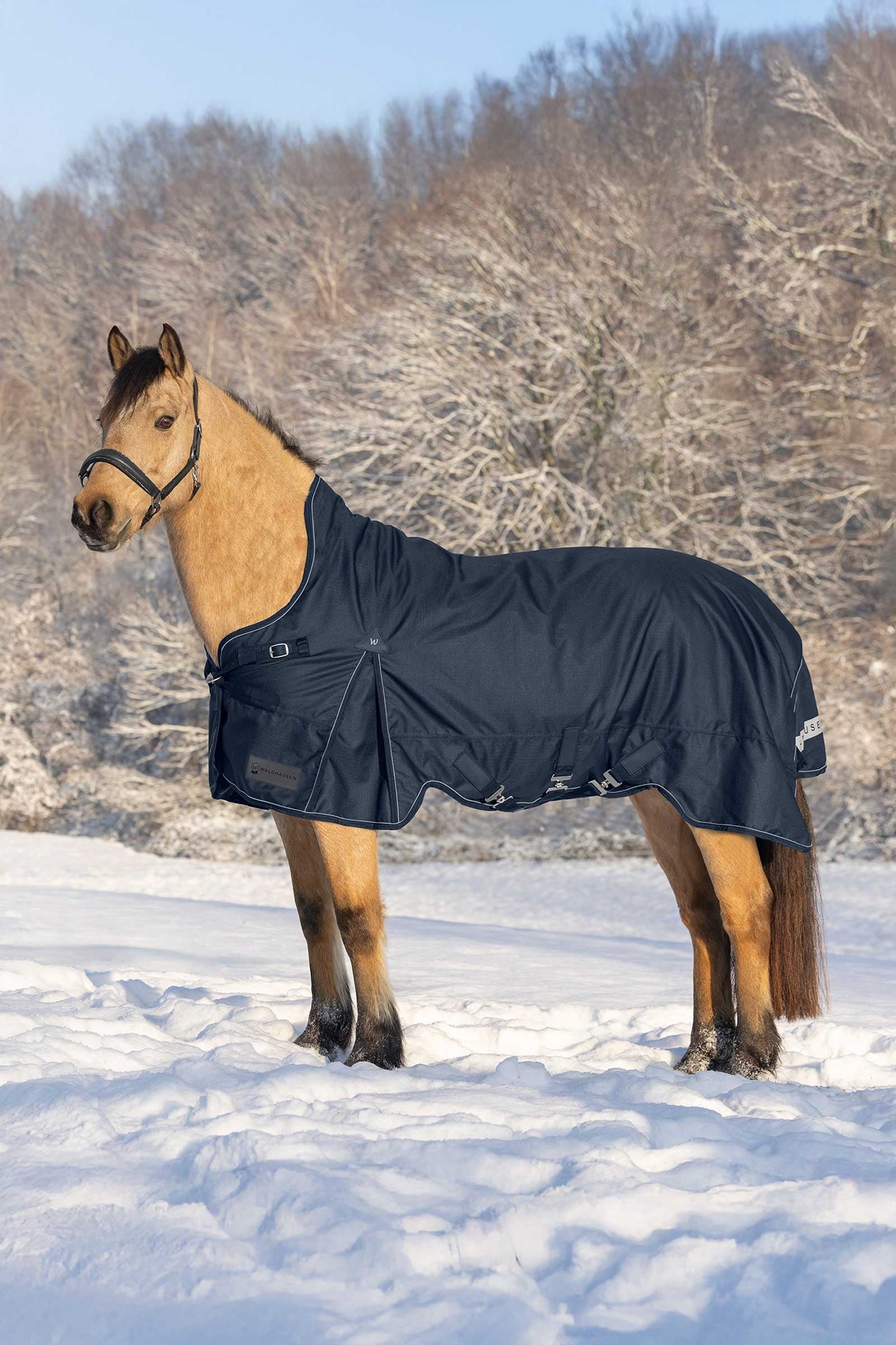 Waldhausen Scandic Turnout Rug With High Neck, 200g Horse Rugs