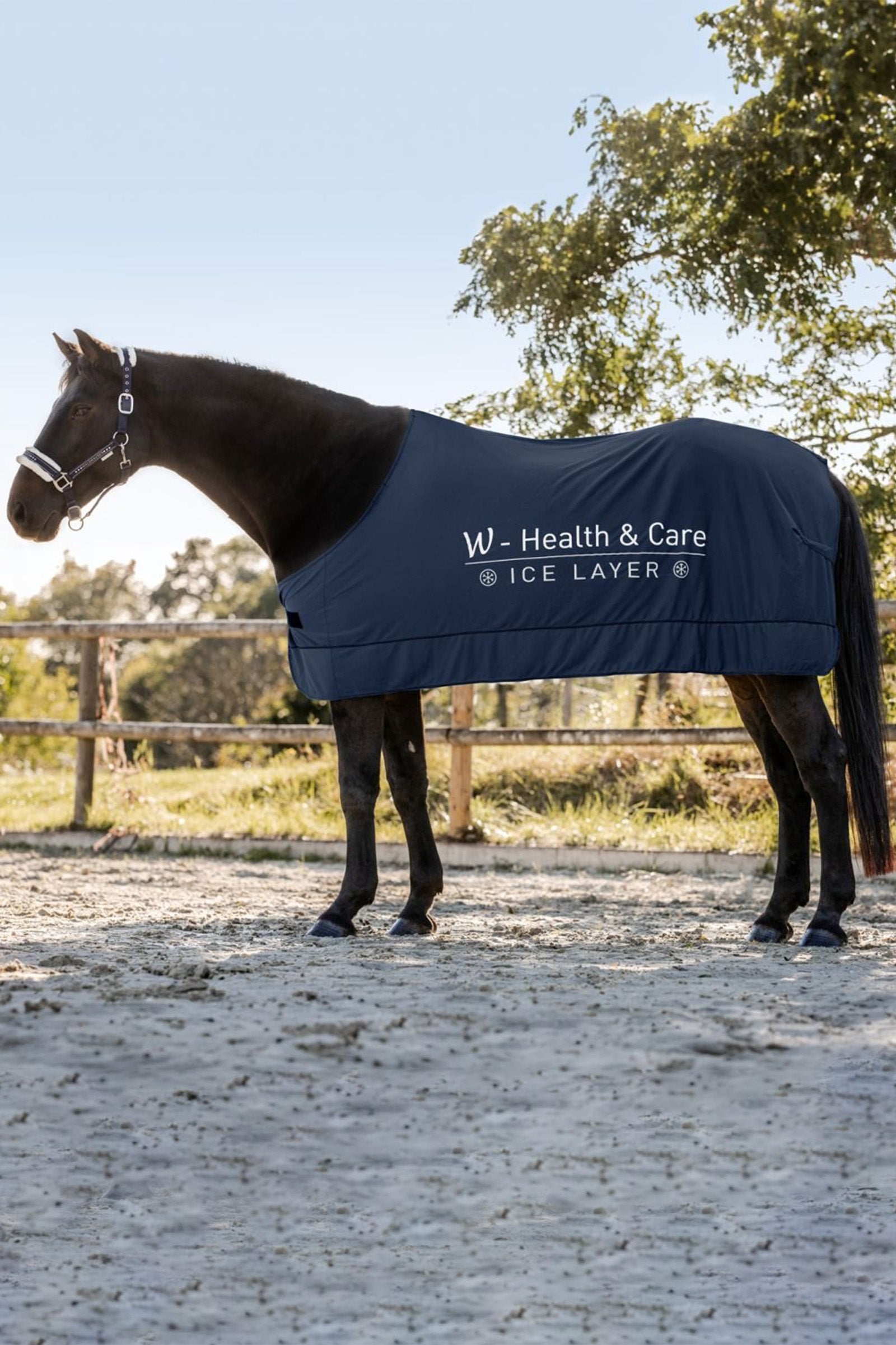 Waldhausen Health & Care Ice Layer Rug Horse Rugs