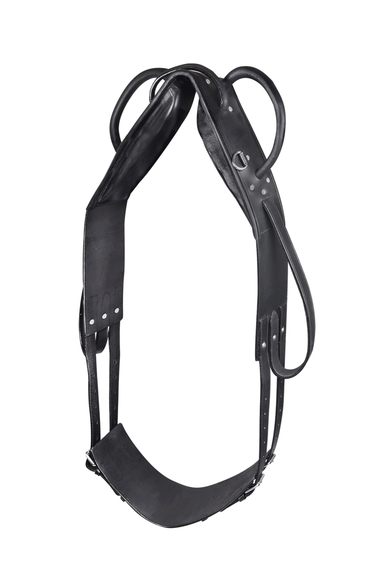 Waldhausen Vaulting & Lunging Surcingle Longering & hjælpetøjler