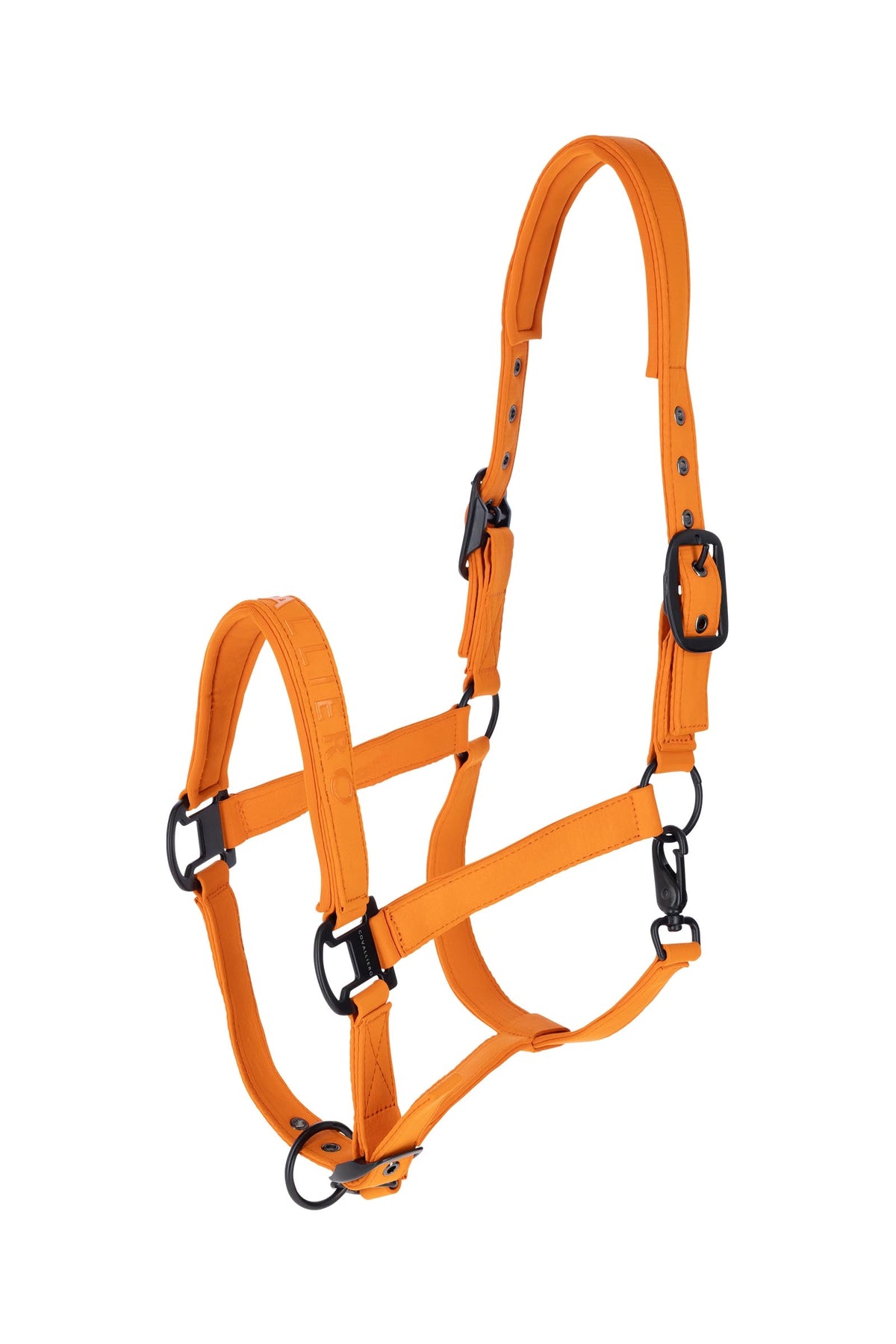 Covalliero FW26 Halter Halters & Leads
