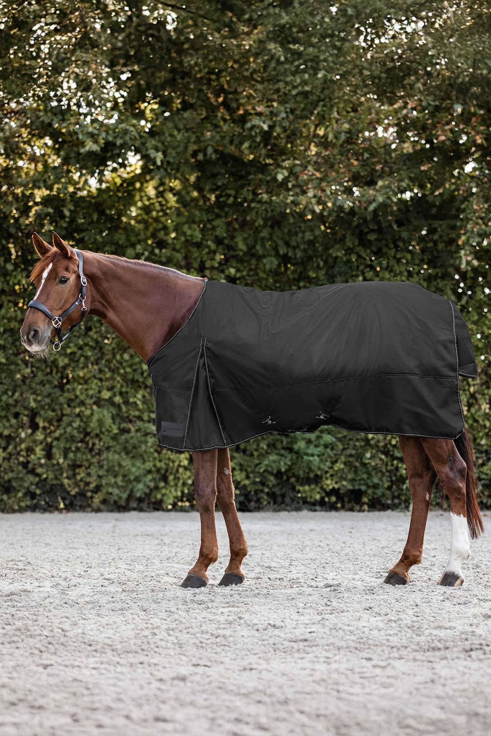 Waldhausen Nordic Turnout Rug, 200 g Horse Rugs