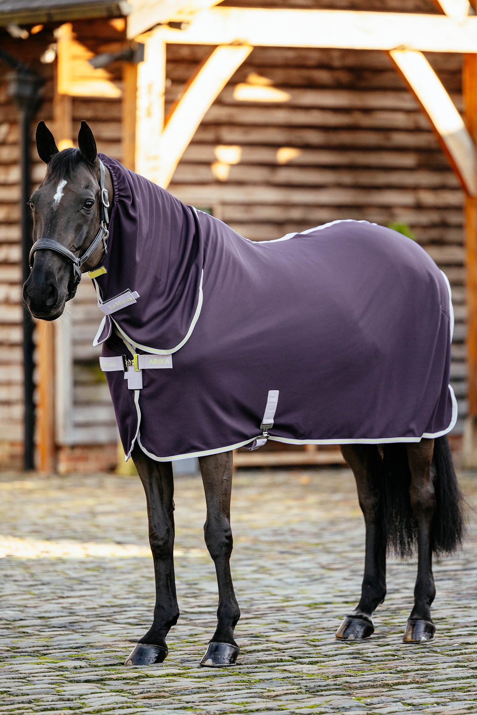 LeMieux Arika DryEase Rug Hestedækken