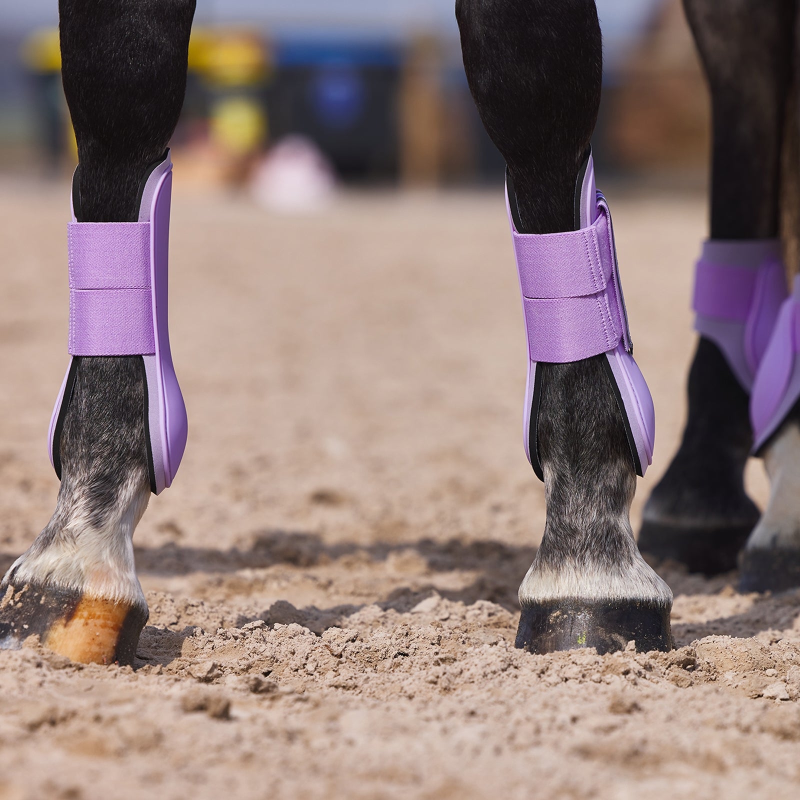 Horze Adepto Tendon Boots Leg Protection & Hoof Protection for Horses