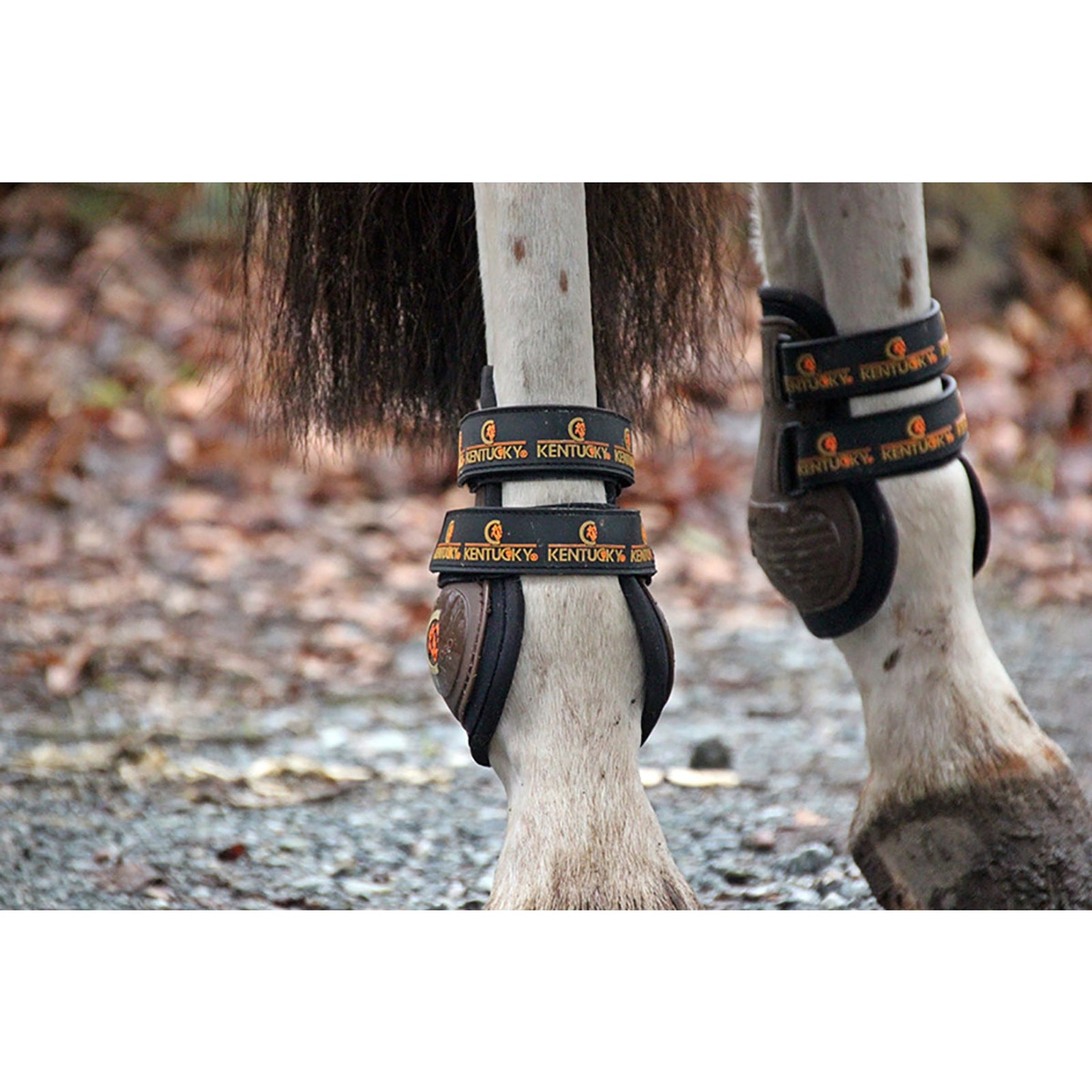 Kentucky Horsewear Armadillo Aero Moonboots Max Leg Protection & Hoof Protection for Horses