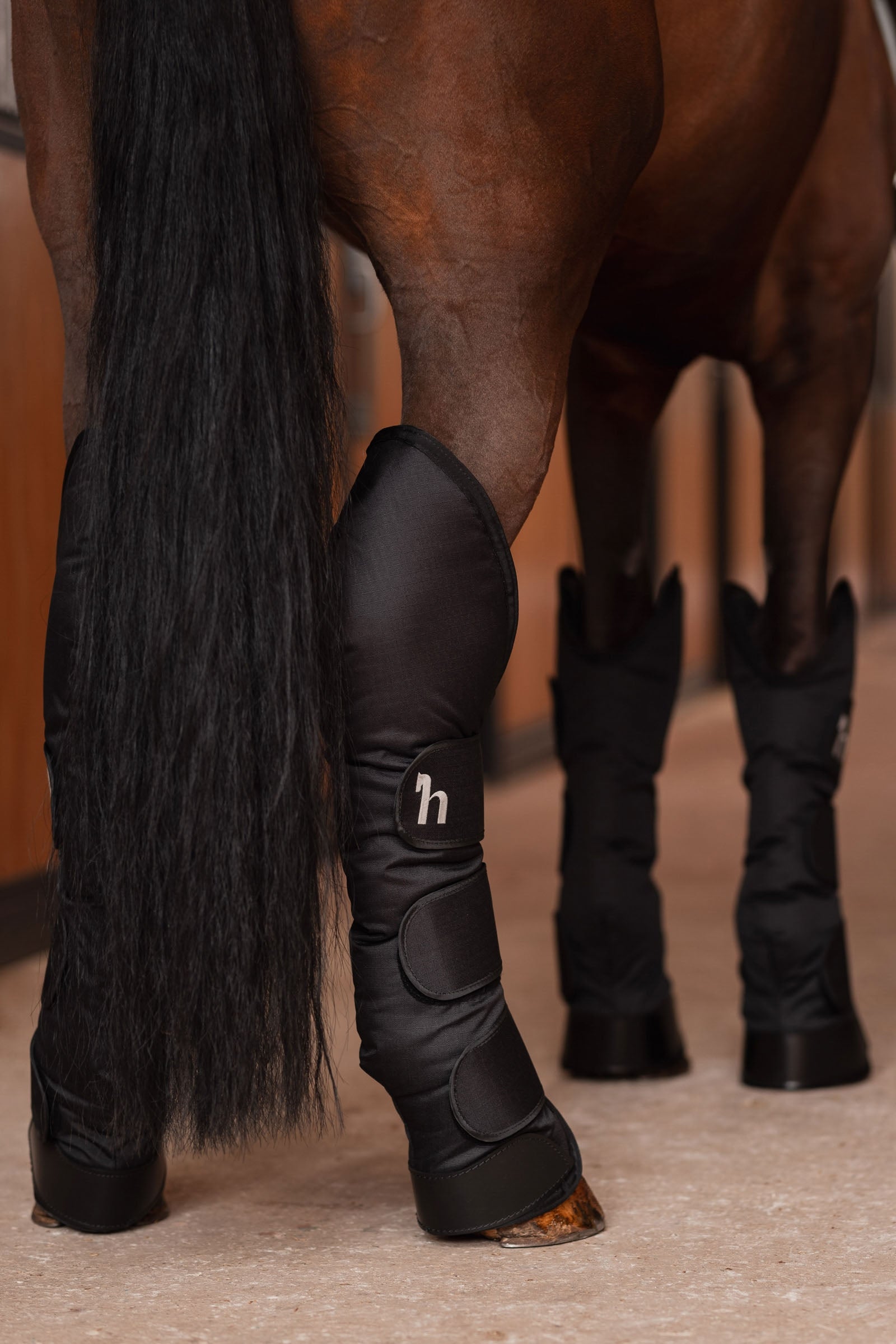 Horze Transport Boots Leg Protection & Hoof Protection for Horses