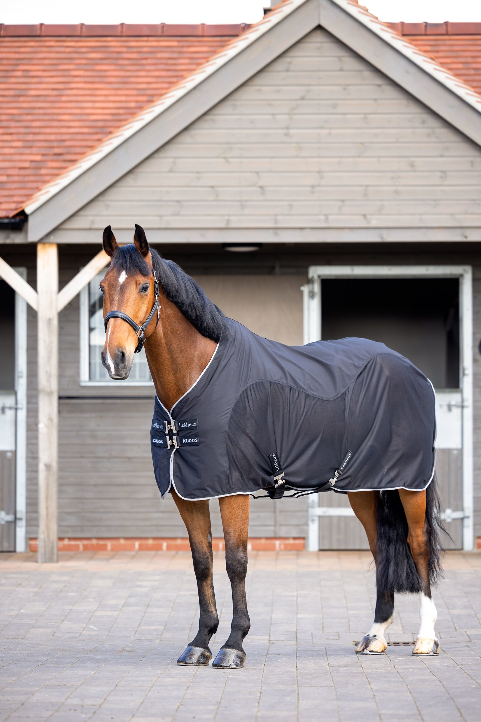 LeMieux Kudos Hybrid Cooler Hestedækken