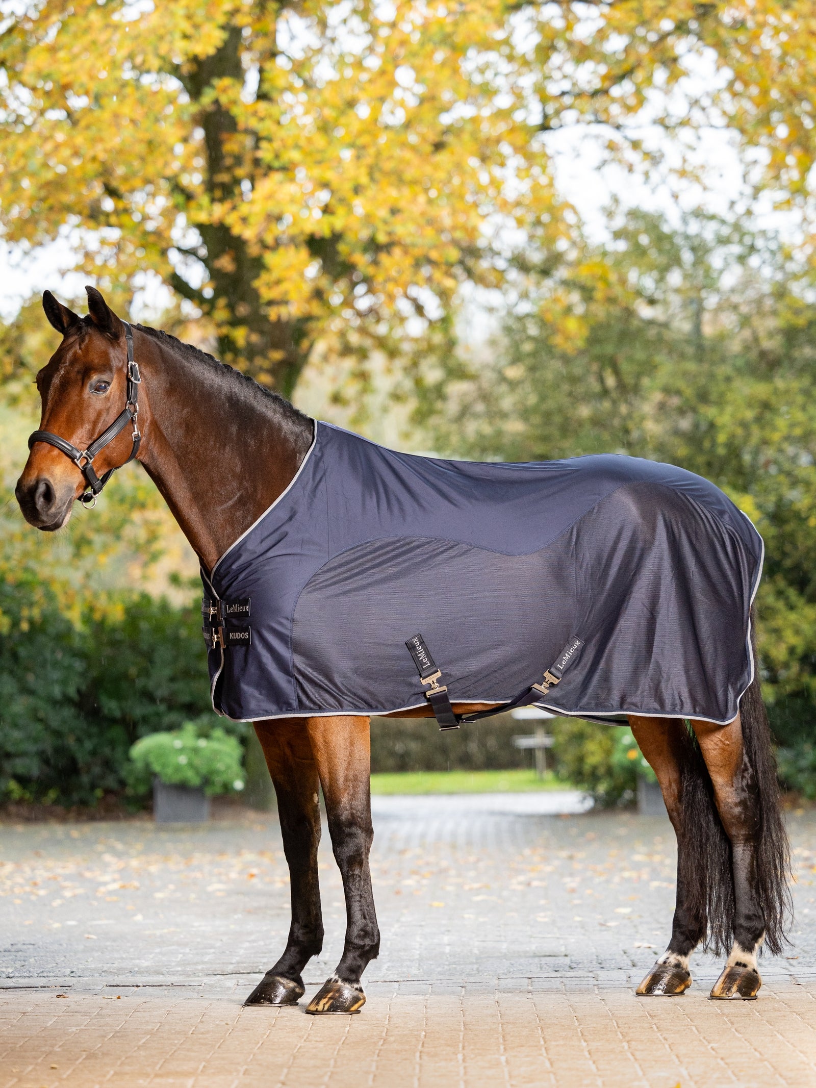 LeMieux Kudos Hybrid Cooler Hestedækken