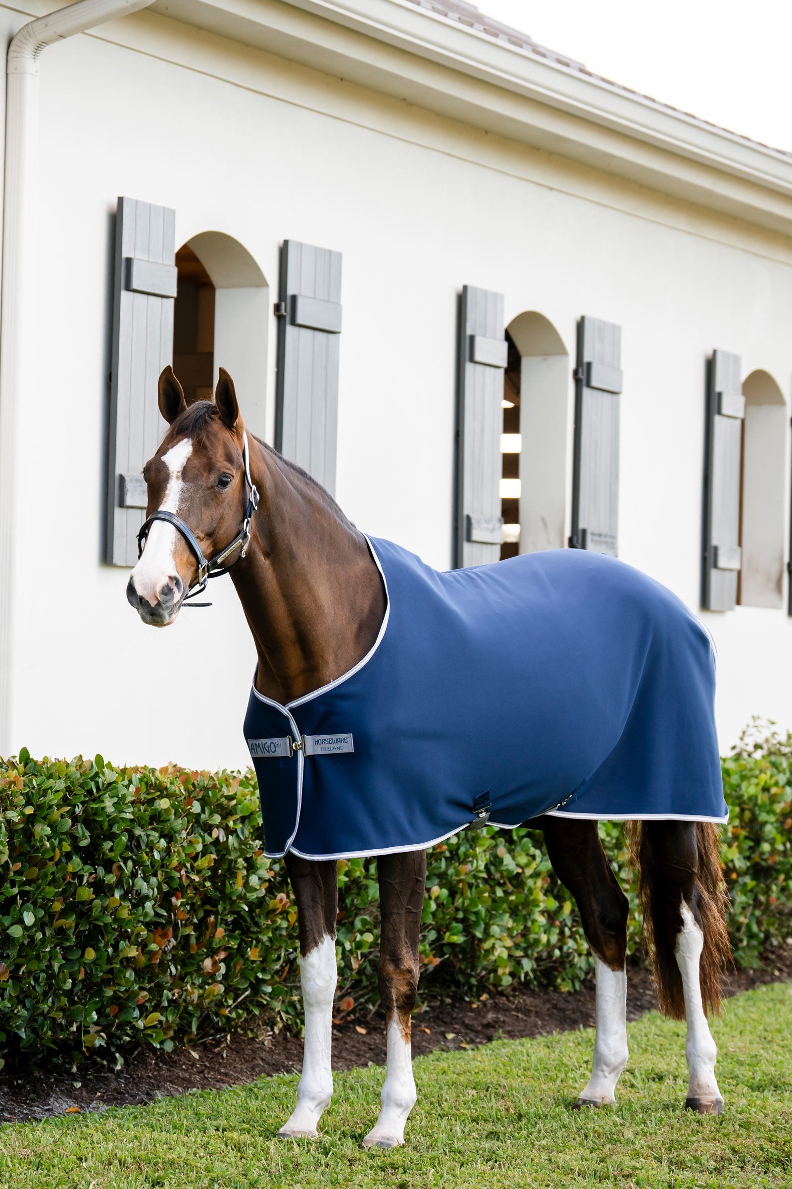 Horseware Amigo jersey sveddækken Hestedækken