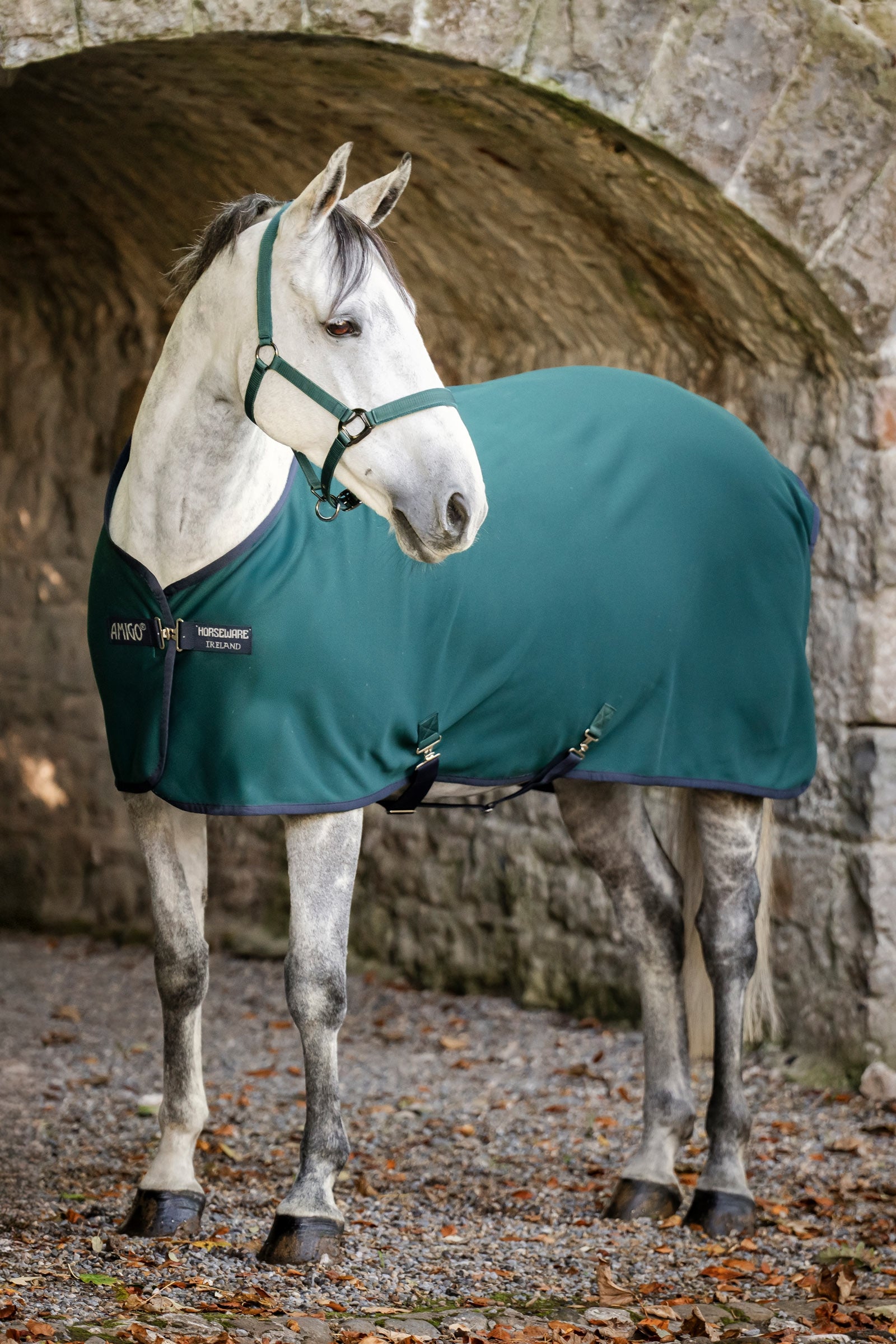 Horseware Amigo jersey sveddækken Hestedækken