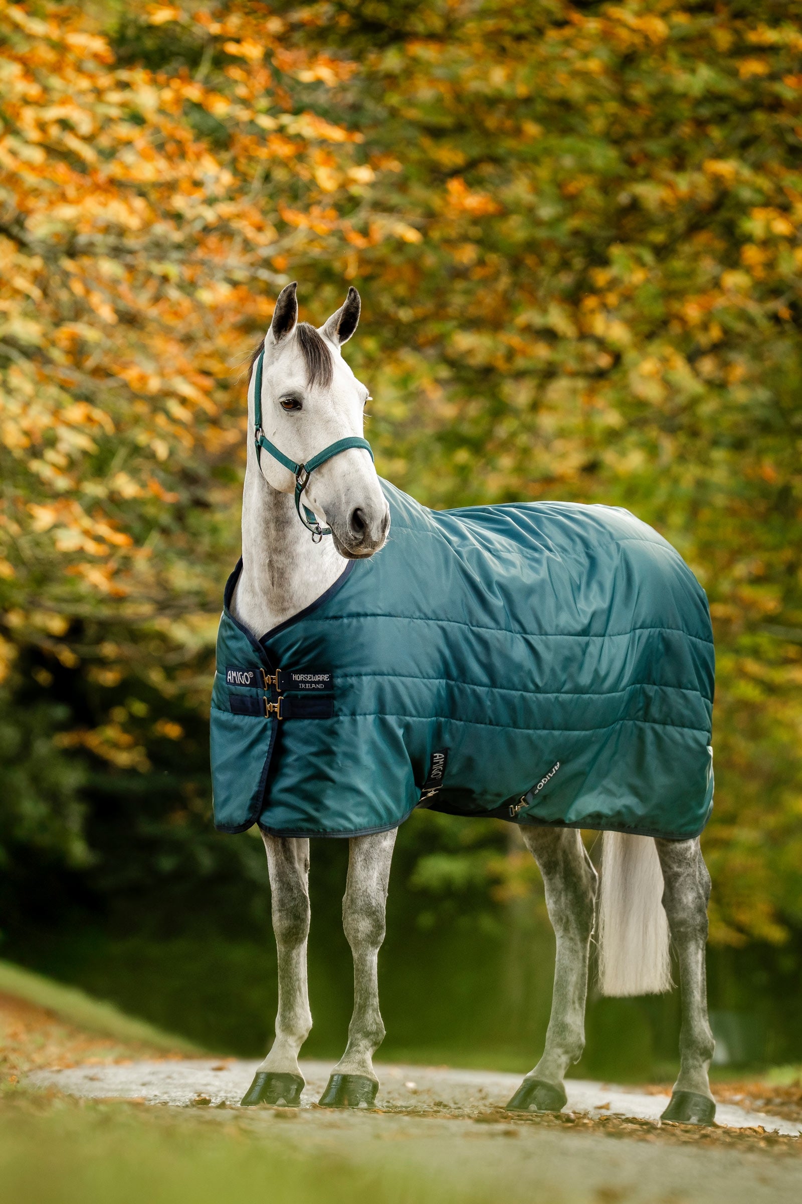 Horseware Amigo Ripstop stalddækken med fyld, 350 g Hestedækken