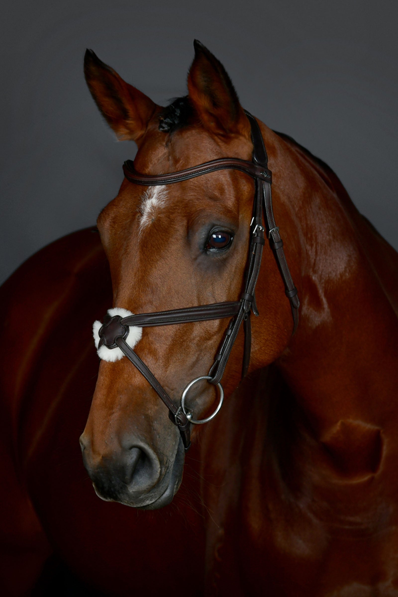Collegiate Comfitec Opulux klassisk foret trense med mexikansk næsebånd Trenser & tøjler