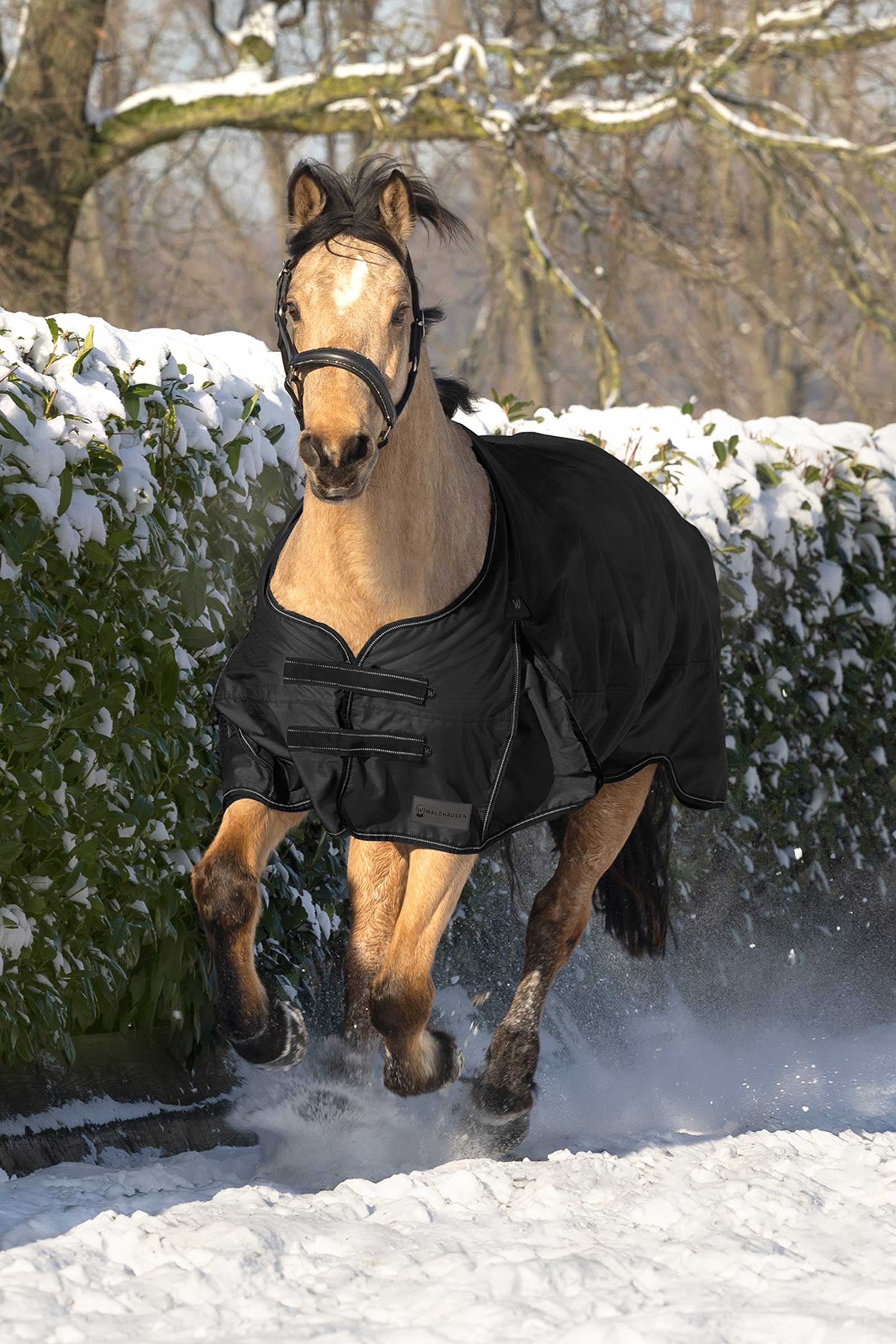 Waldhausen Arctic Turnout Rug, 200 g Horse Rugs