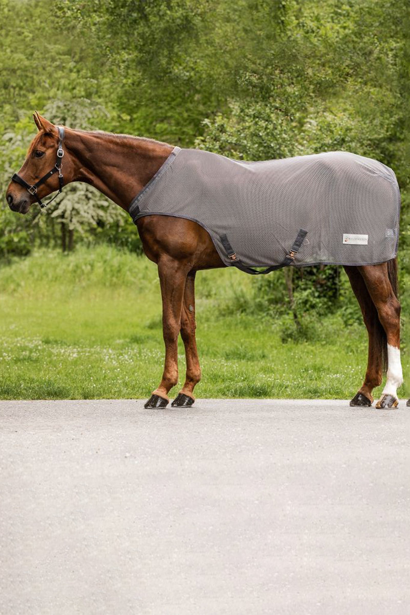 Waldhausen COMFORT Flue-Førermaskine Tæppe Hestedækken