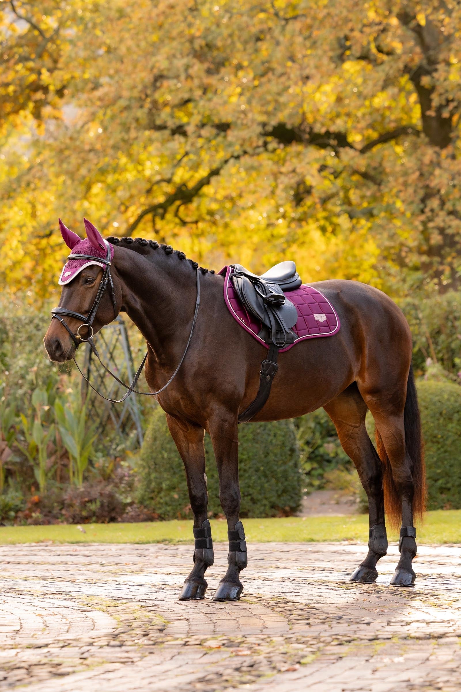 LeMieux Lemieux Loire Classic Close Contact Square Saddle Pad Saddle Pads