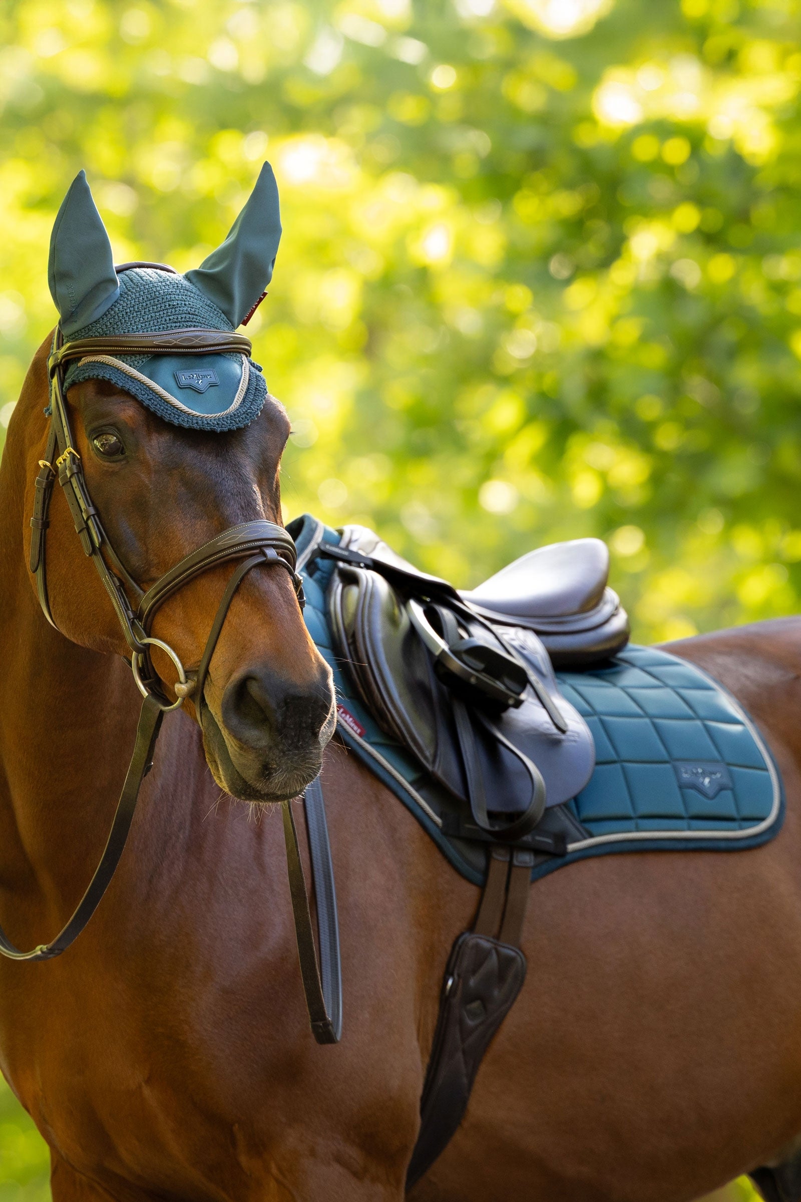 LeMieux Loire Classic Square Close Contact Saddle Pad Saddle Pads