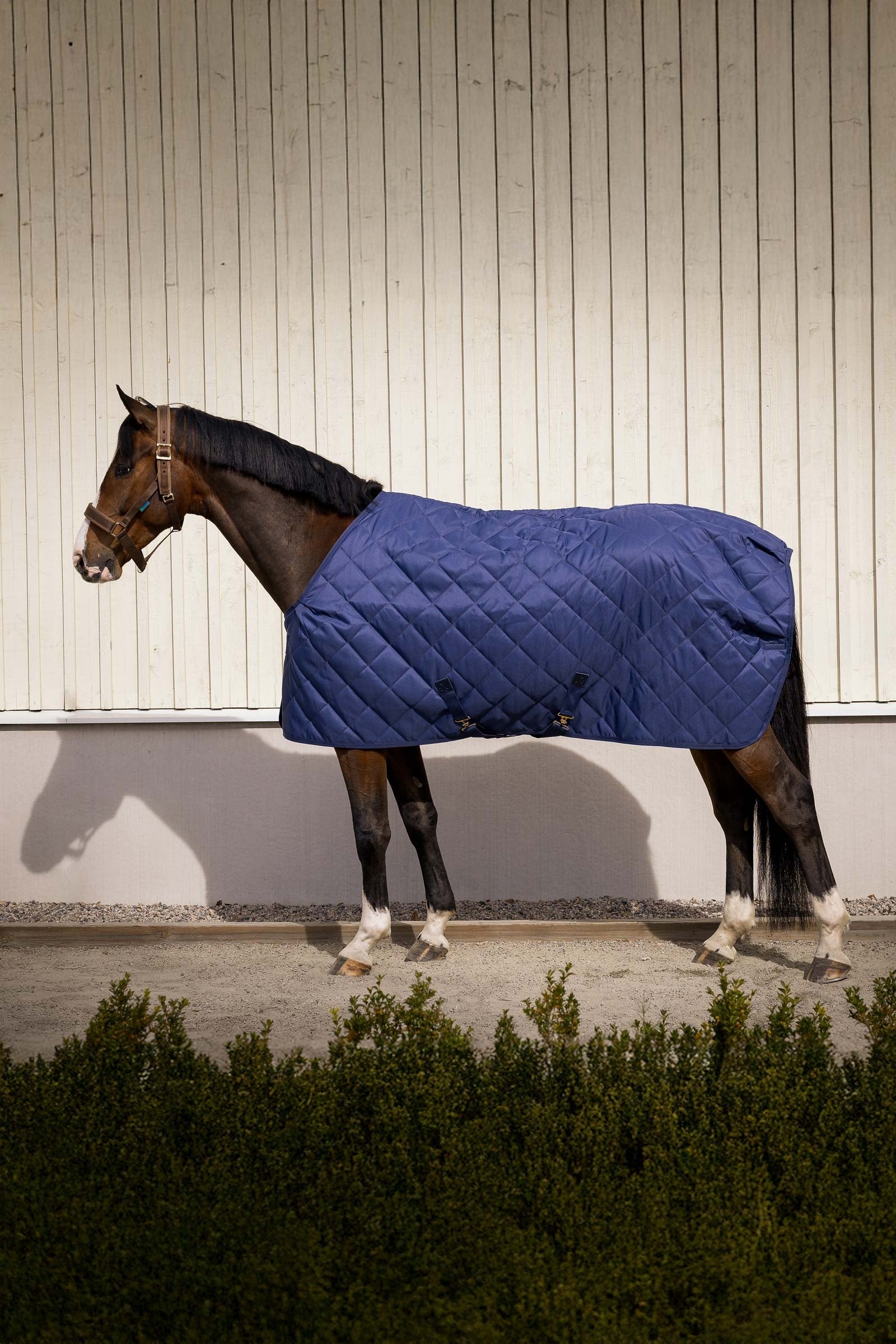 Bucas Cosy Stable Rug Hestedækken