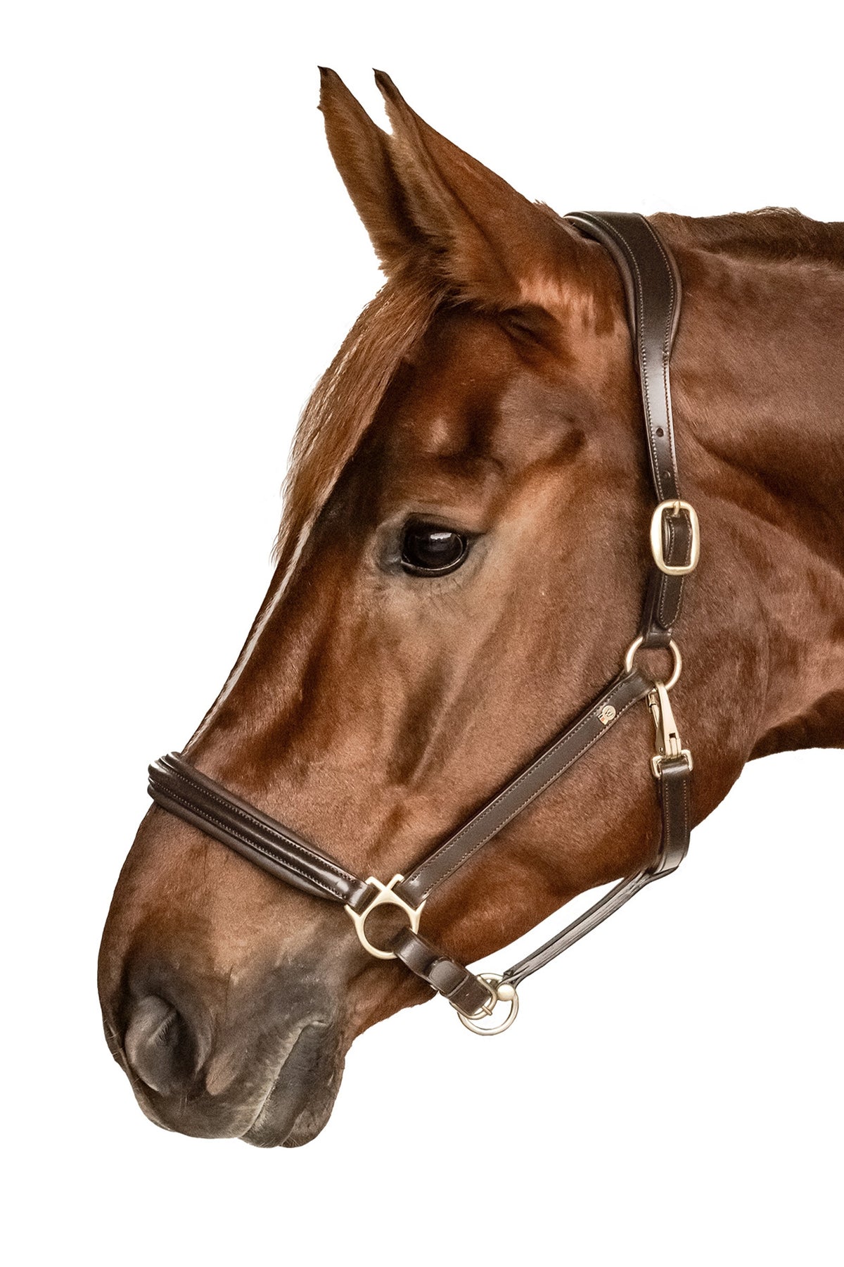 Waldhausen Classy S-Line Halter Halters & Leads