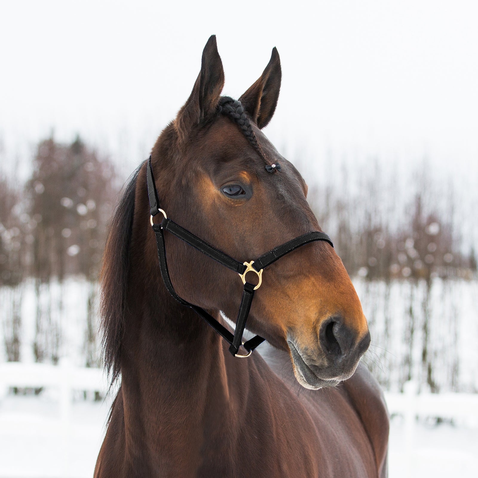 Finntack Pro Synthetic Yankee Nylon Halter Grimer & Træktove