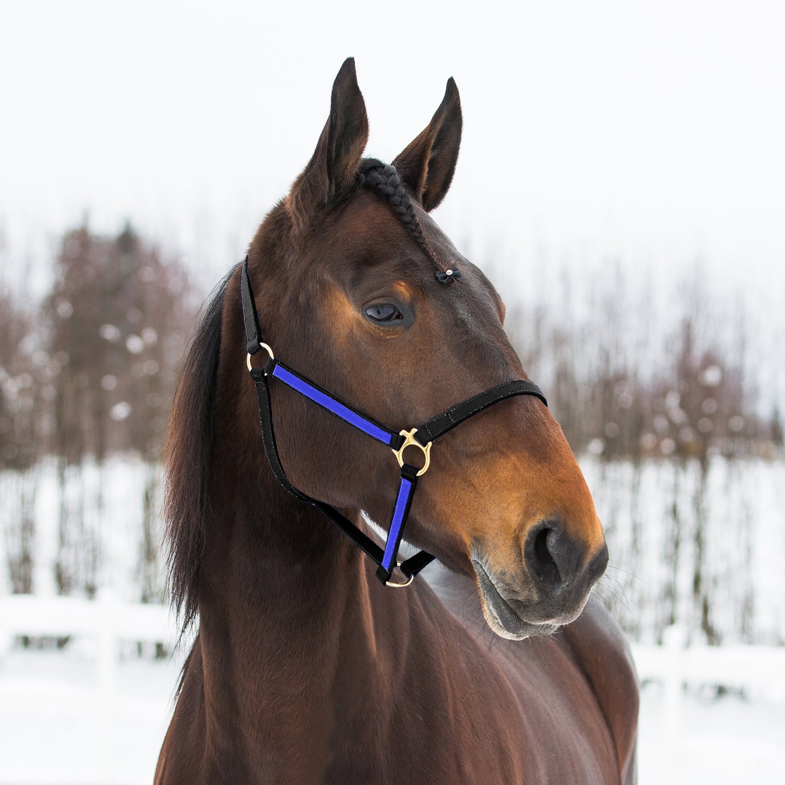 Finntack Pro Synthetic Yankee Nylon Halter Grimer & Træktove