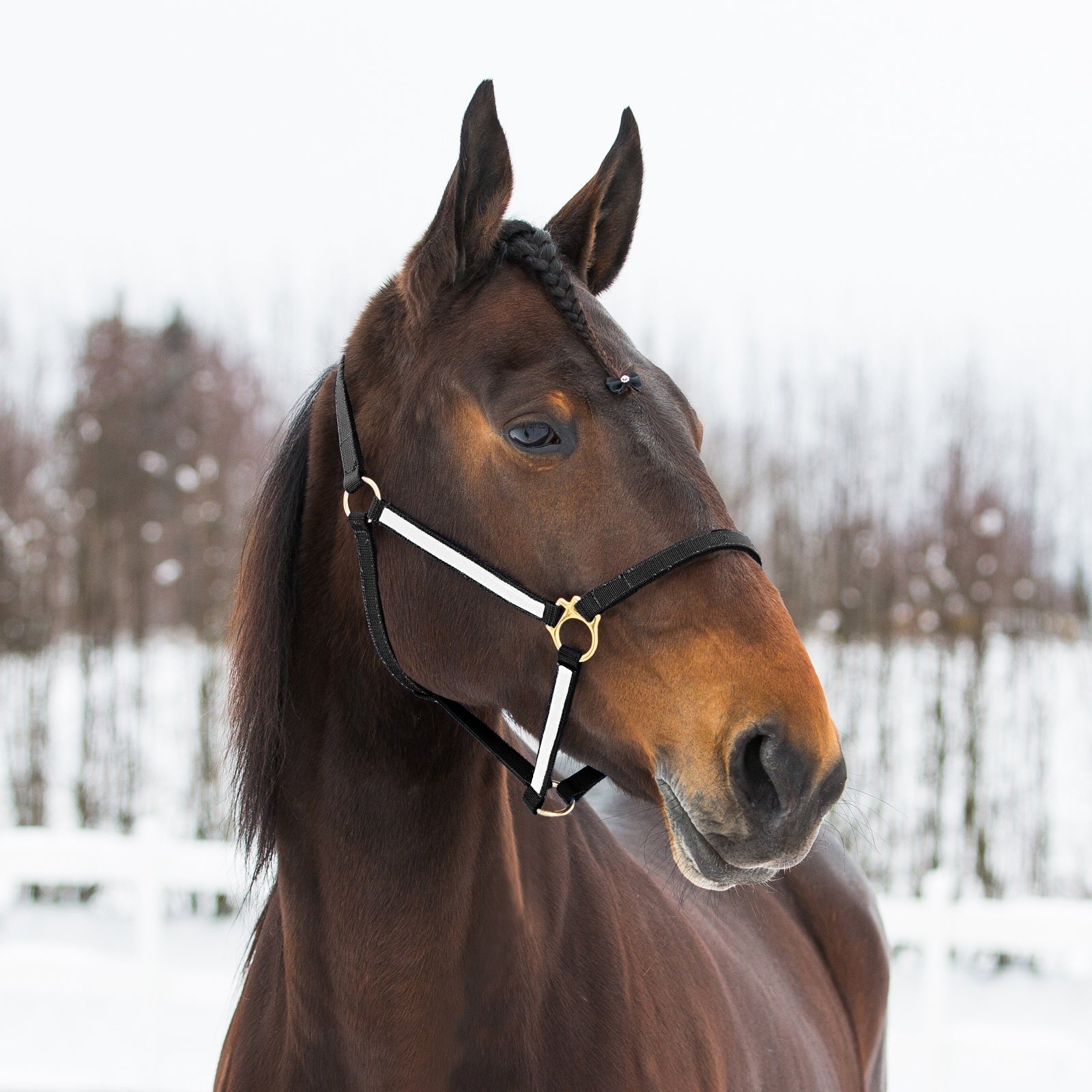 Finntack Pro Synthetic Yankee Nylon Halter Grimer & Træktove