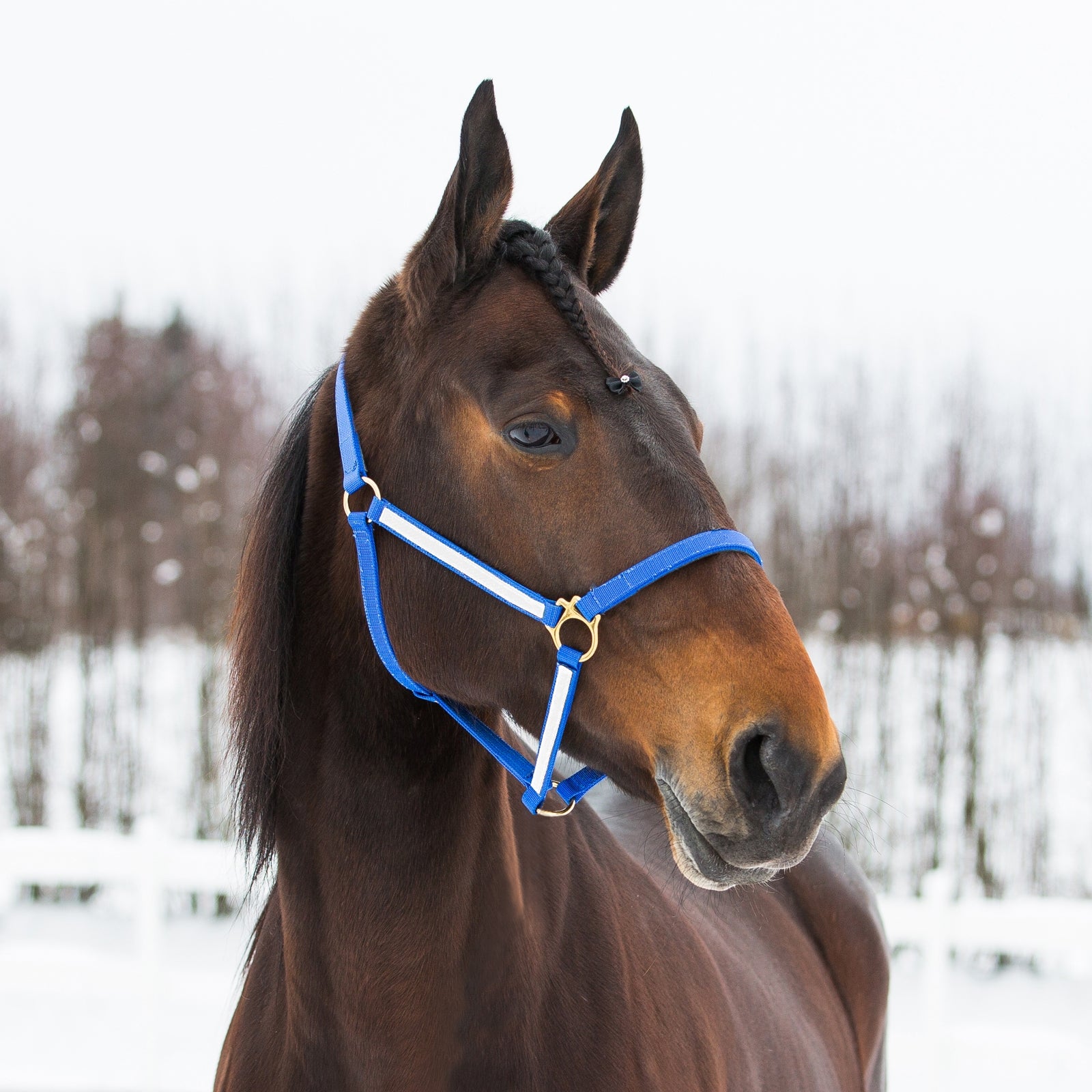 Finntack Pro Synthetic Yankee Nylon Halter Grimer & Træktove