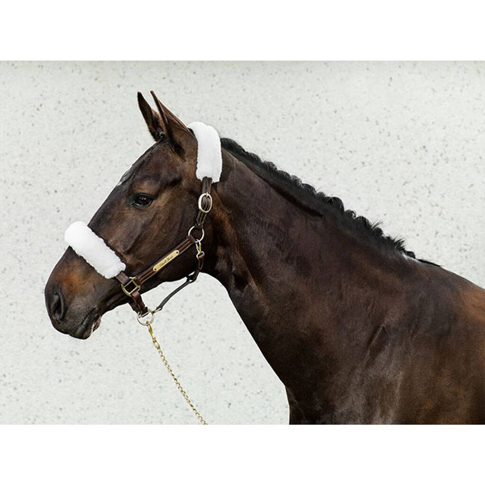 Back on Track grimeovertræk Grimer & Træktove