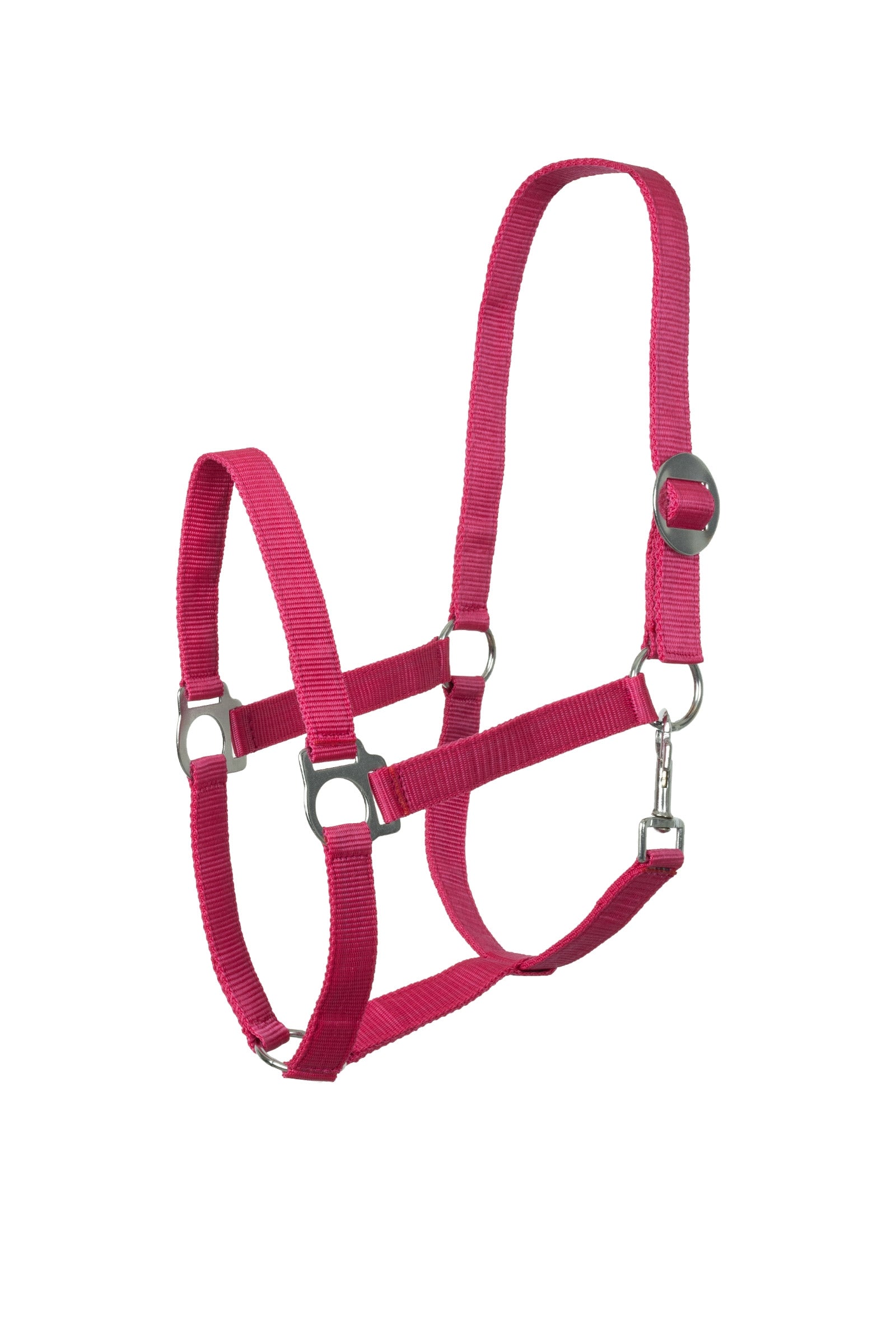 Horze Basic Halter Halters & Leads