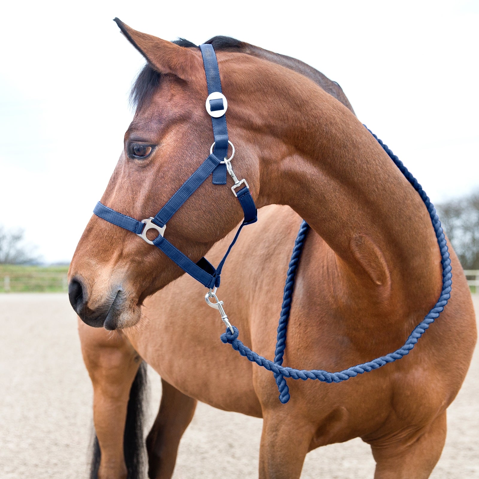 Horze Basic træktov. Grimer & Træktove