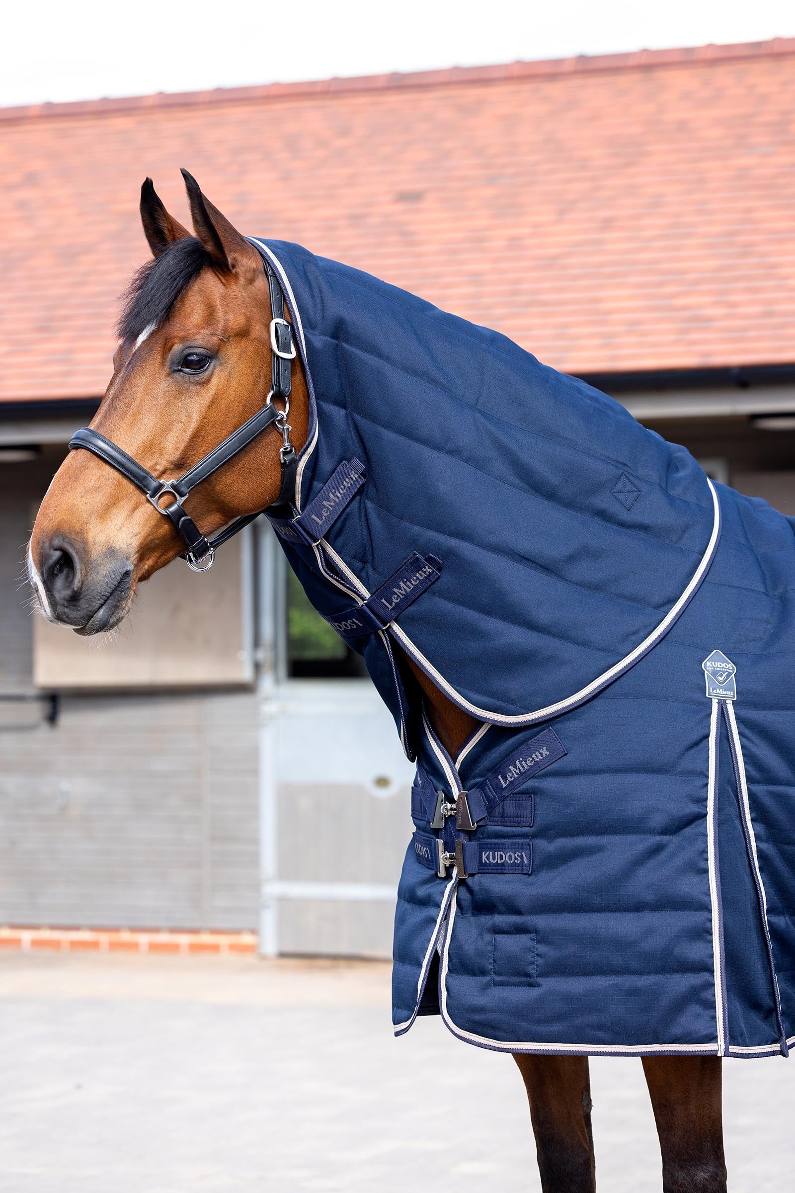 LeMieux Kudos Stable Neck Cover 100g Horse Rugs