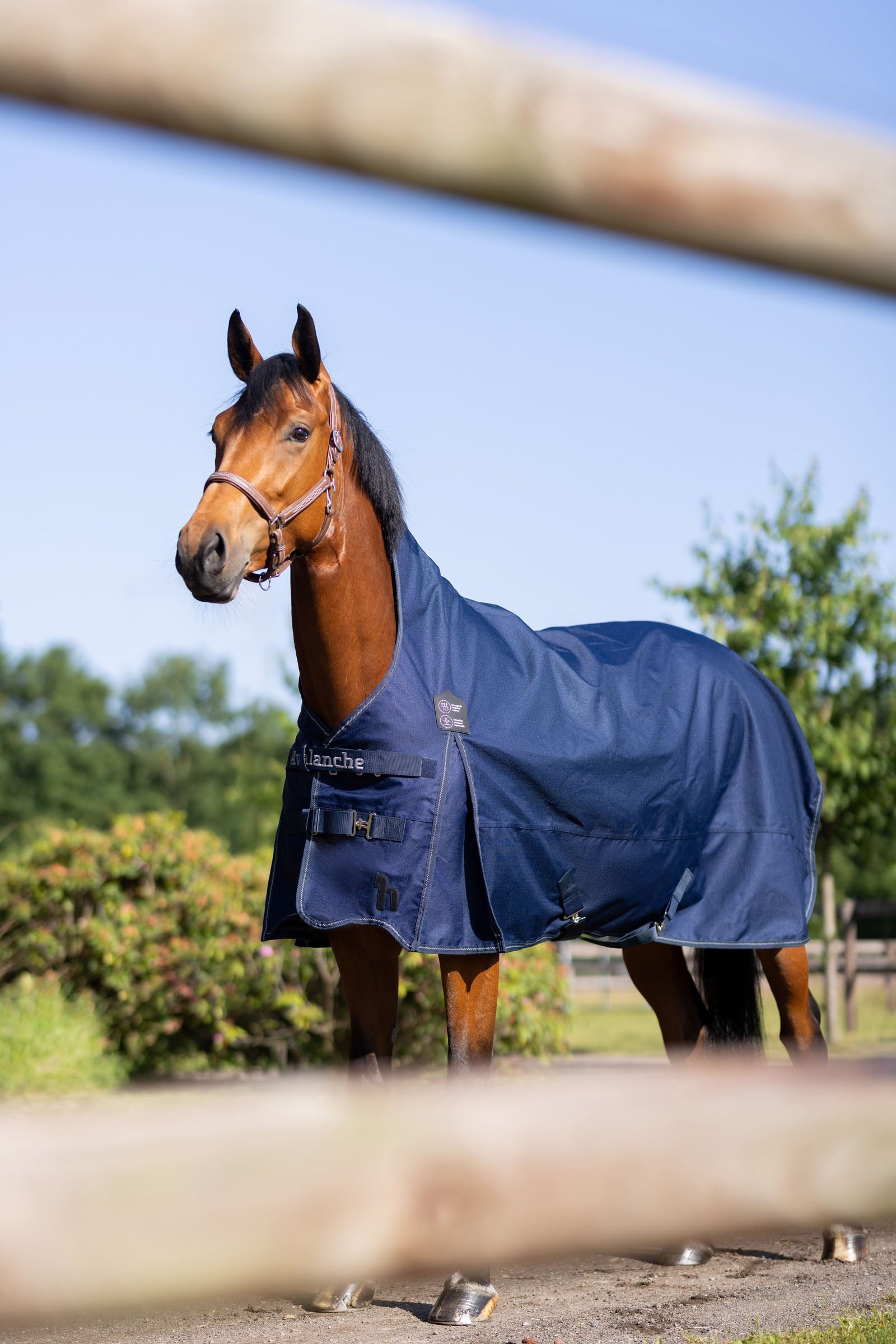 Horze Avalanche Turnout Rug, 0g Horse Rugs