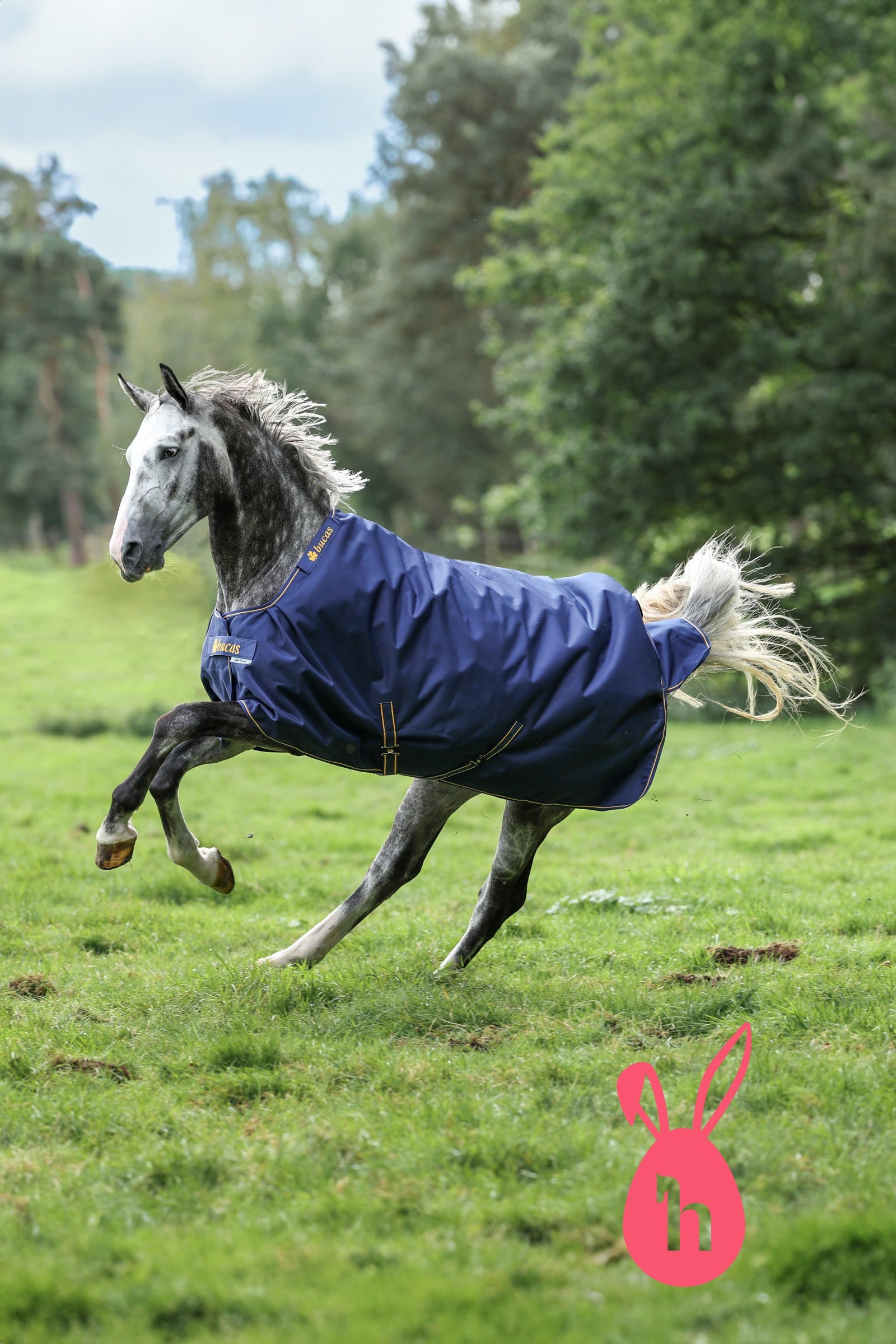 Bucas Irish udedækken, 50g Hestedækken