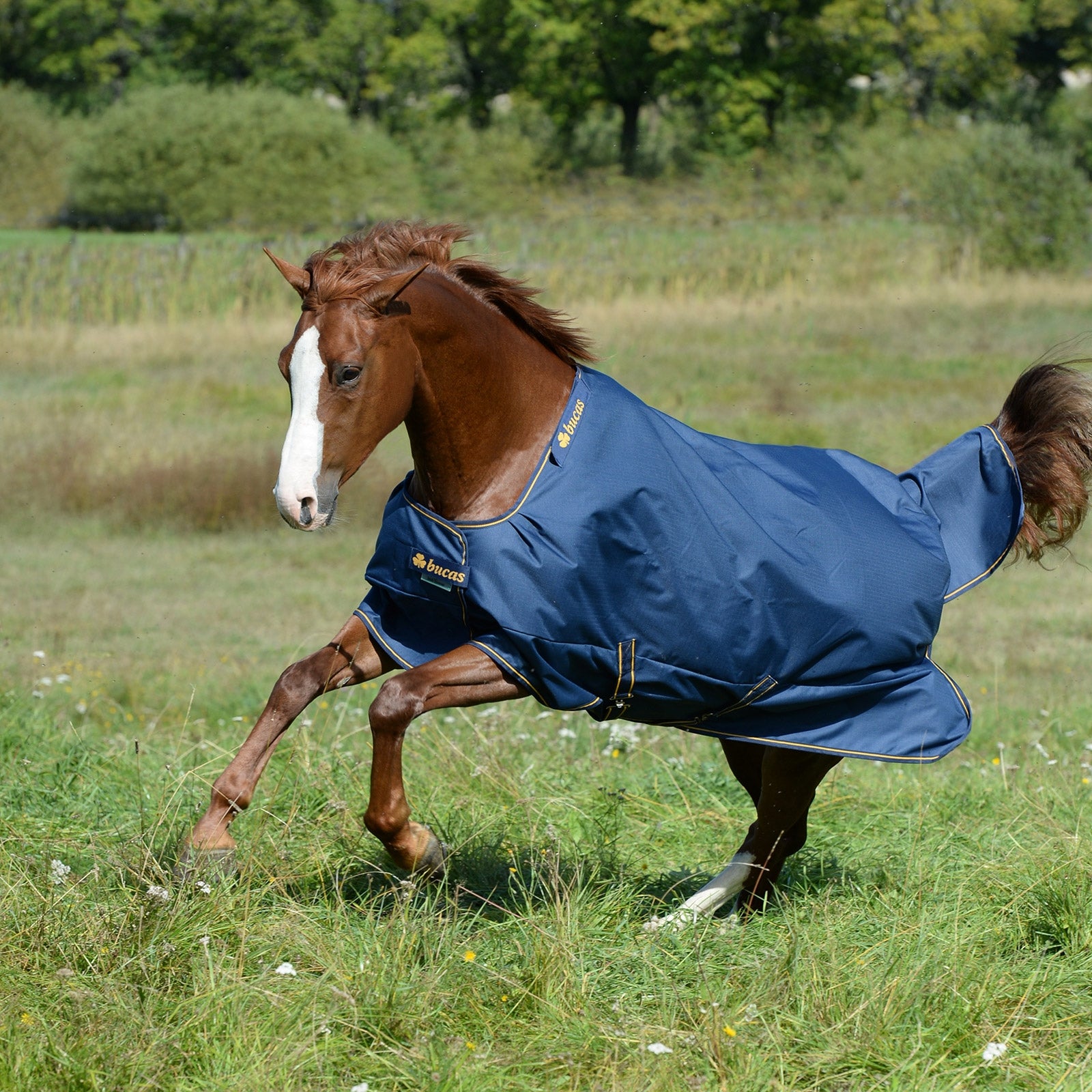 Bucas Irish Turnout Extra Pony Turnout Rug, 300g Horse Rugs