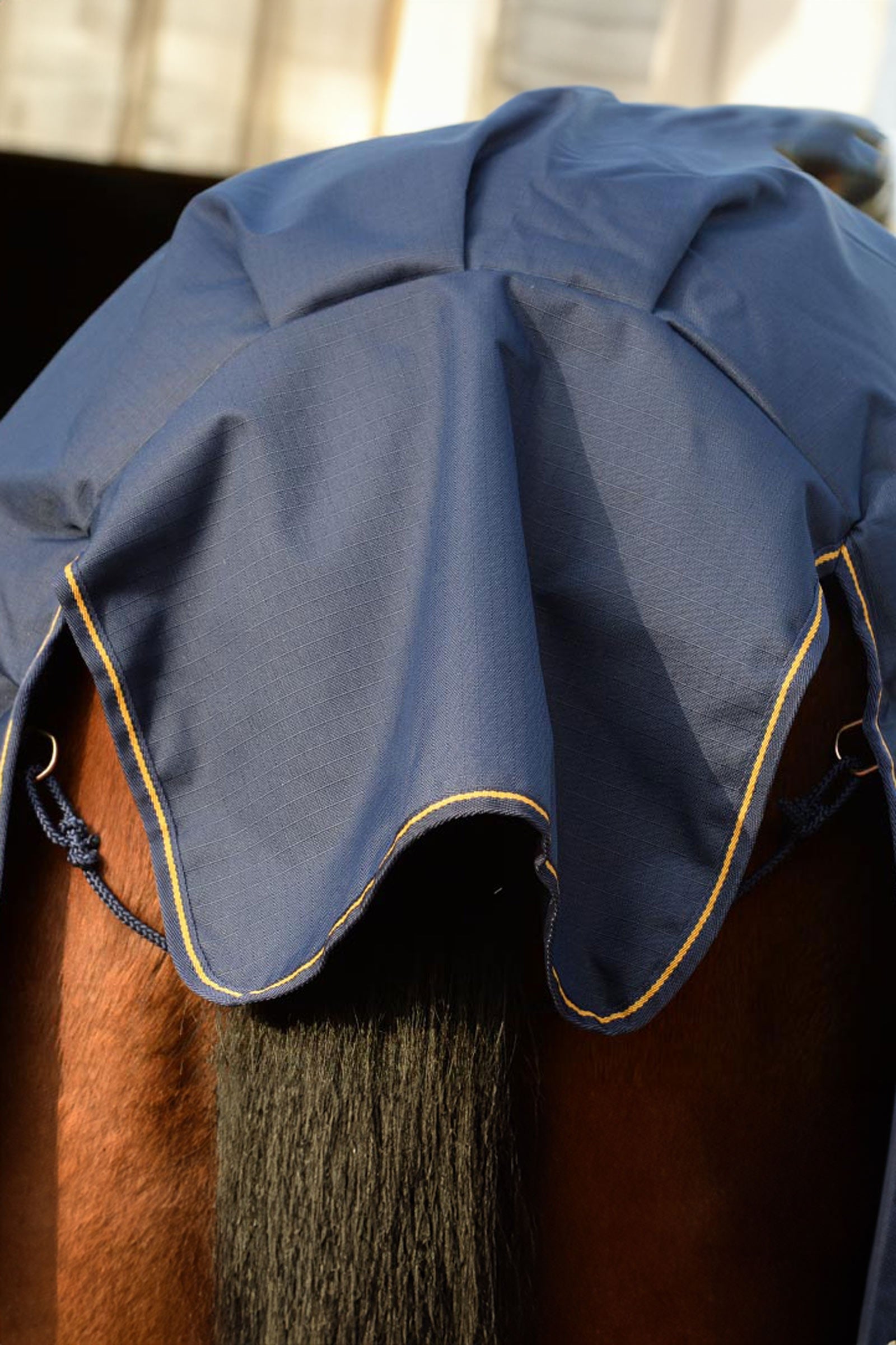 Bucas Irish Pony Turnout Rug, 50g Horse Rugs