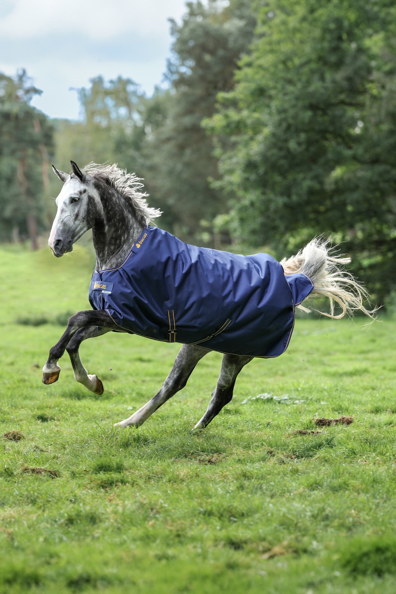 Bucas Irish Pony Turnout Rug, 50g Horse Rugs