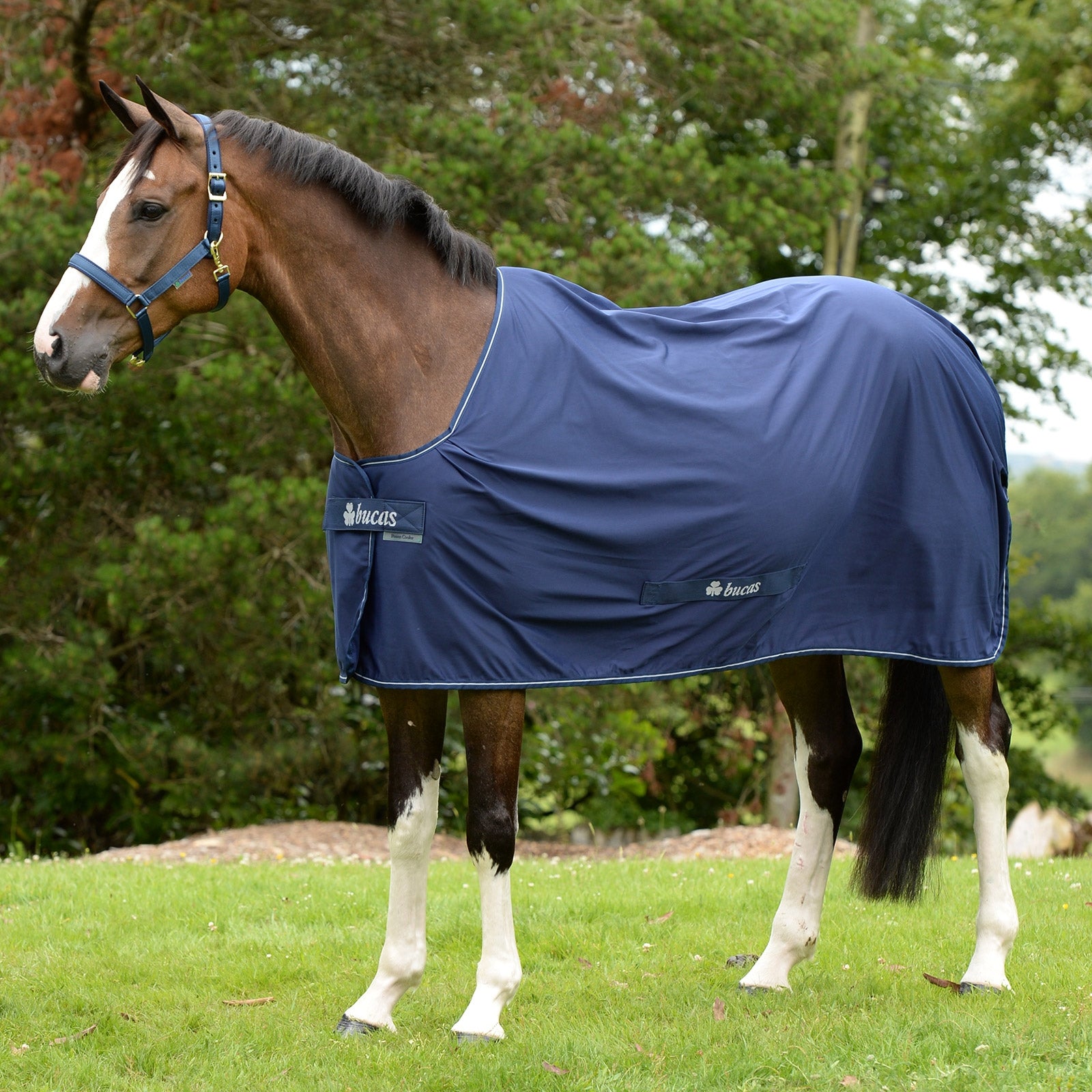 Bucas Shamrock Power Ponydækken Hestedækken