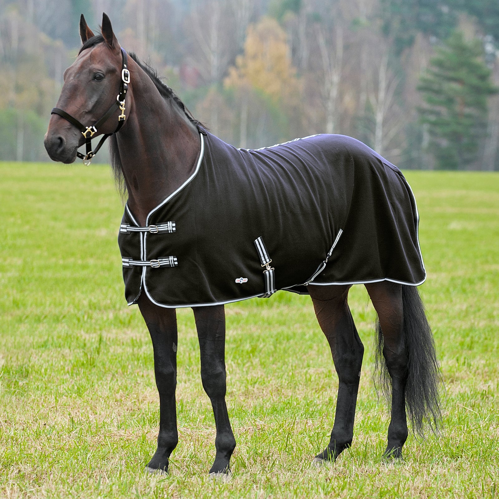 Finntack Pro Cuddle Fleece Cooler Horse Rugs