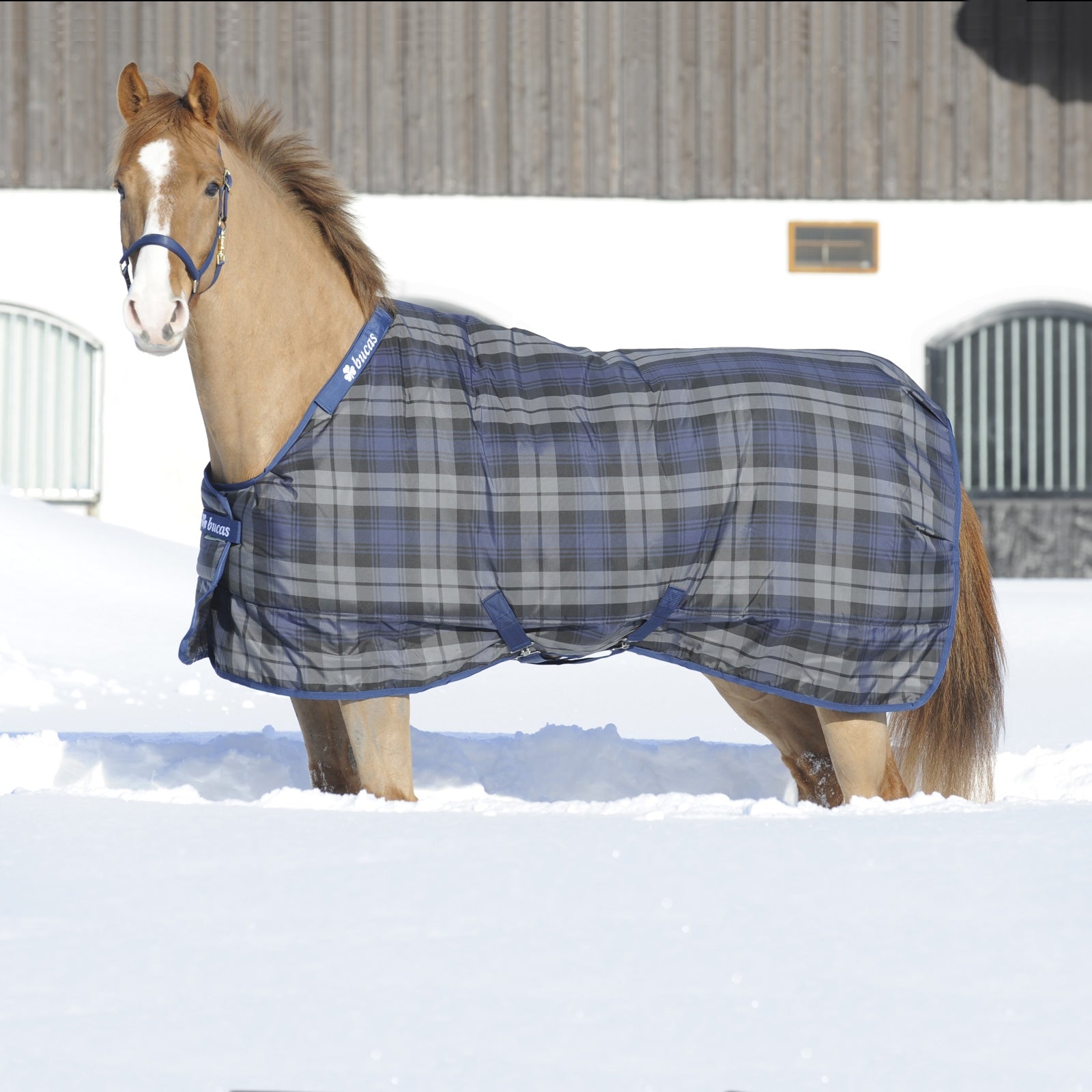 Bucas Celtic Stable dækken, Light Hestedækken