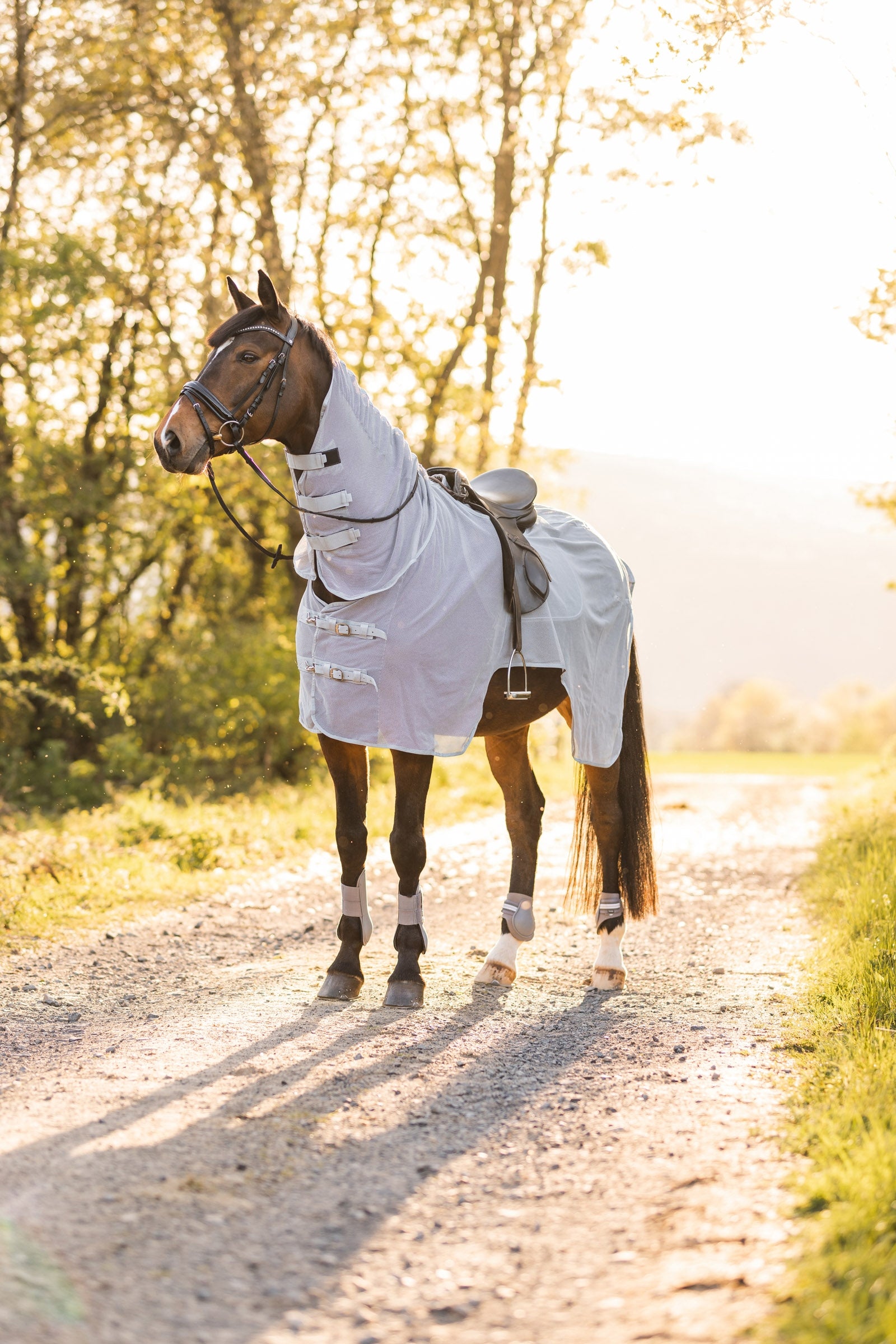Horze Orleans Fly Riding Rug Horse Rugs