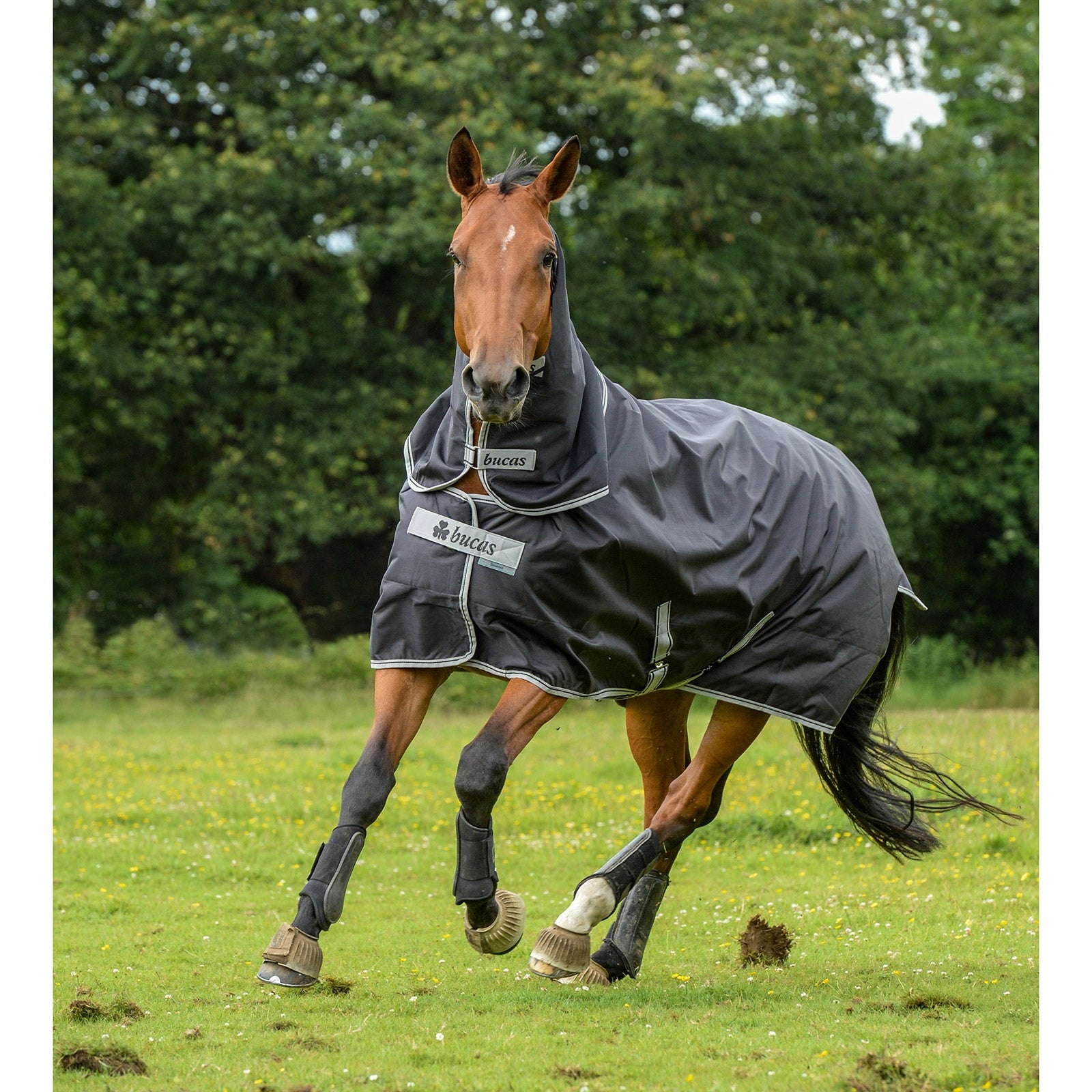 Bucas Smartex Neck, 0 g Horse Rugs
