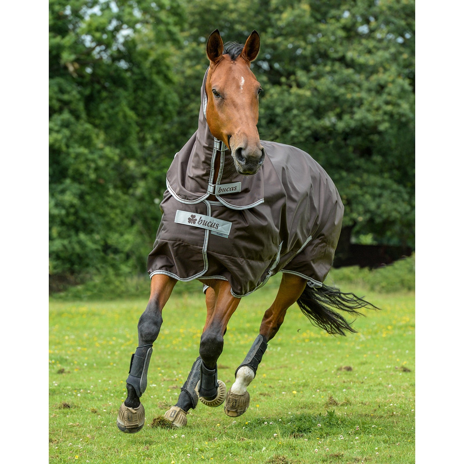 Bucas Smartex Neck, 0 g Horse Rugs
