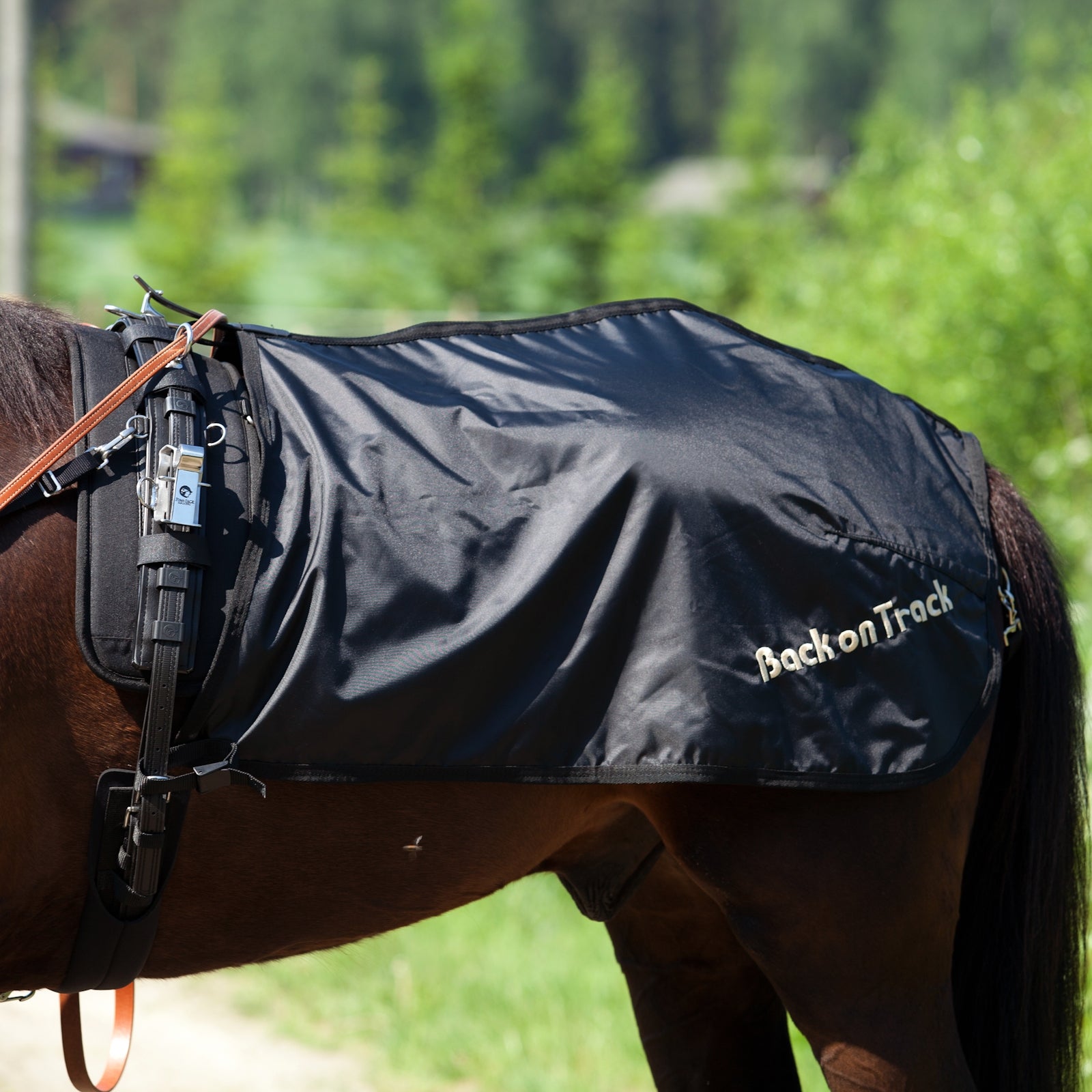 Back on Track travdækken, svensk model Hestedækken